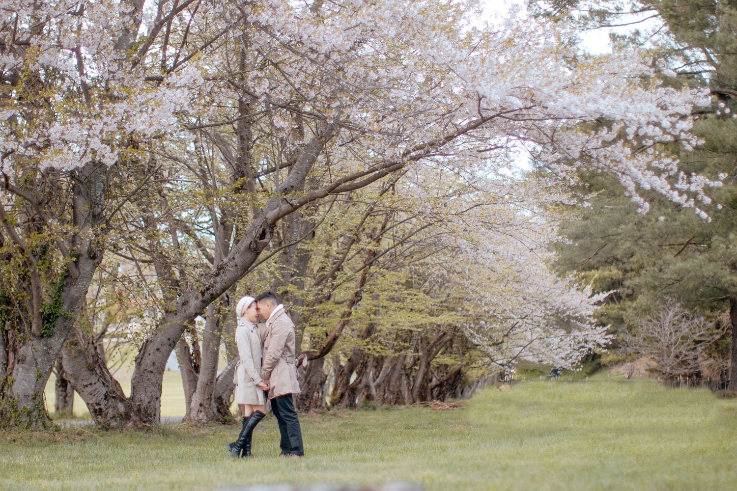 New York Prenup