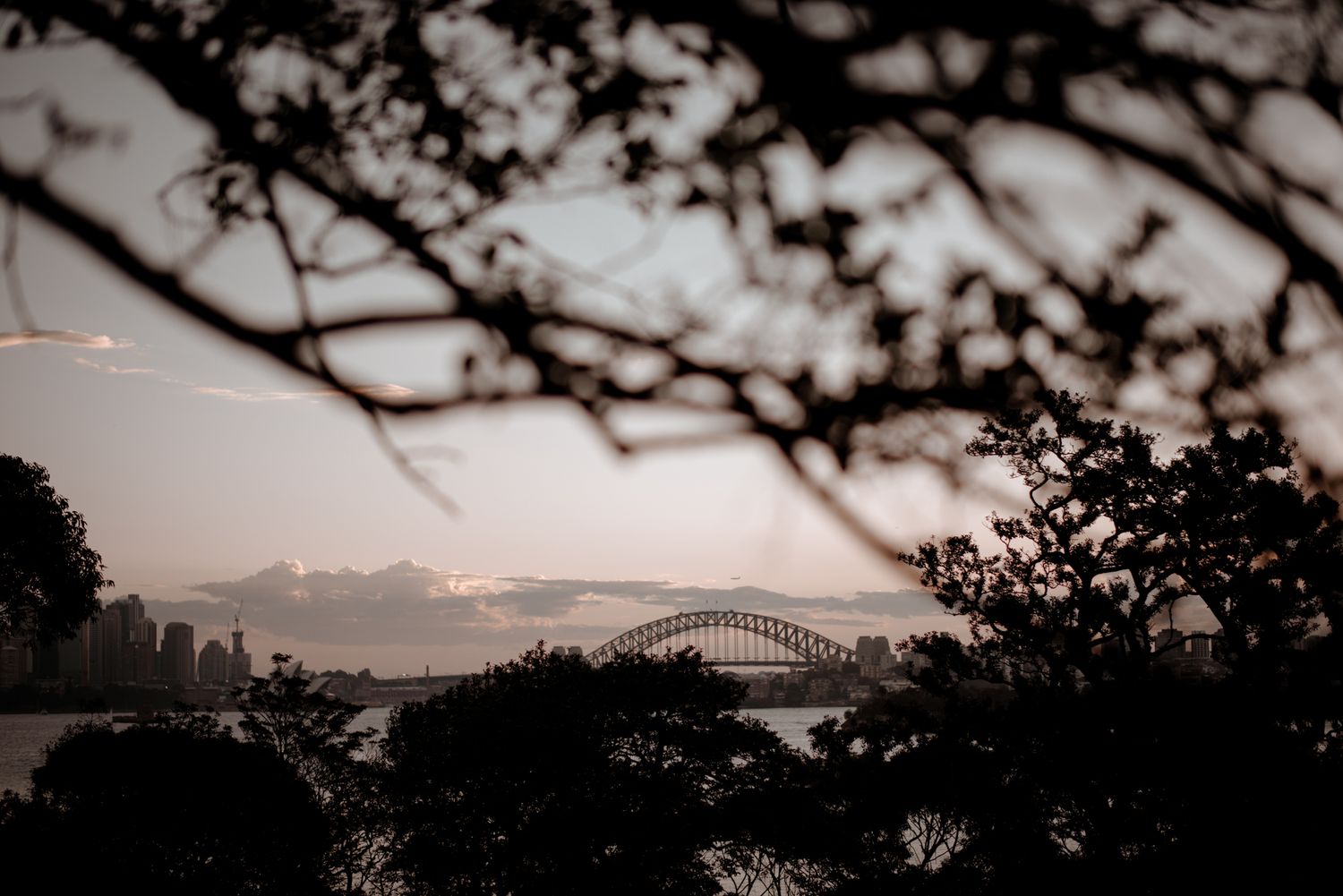 Sydney Wedding.