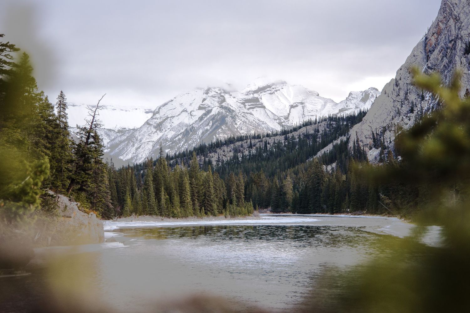 Serene mountain lake surrounded by pine trees with snow-capped peaks in background.