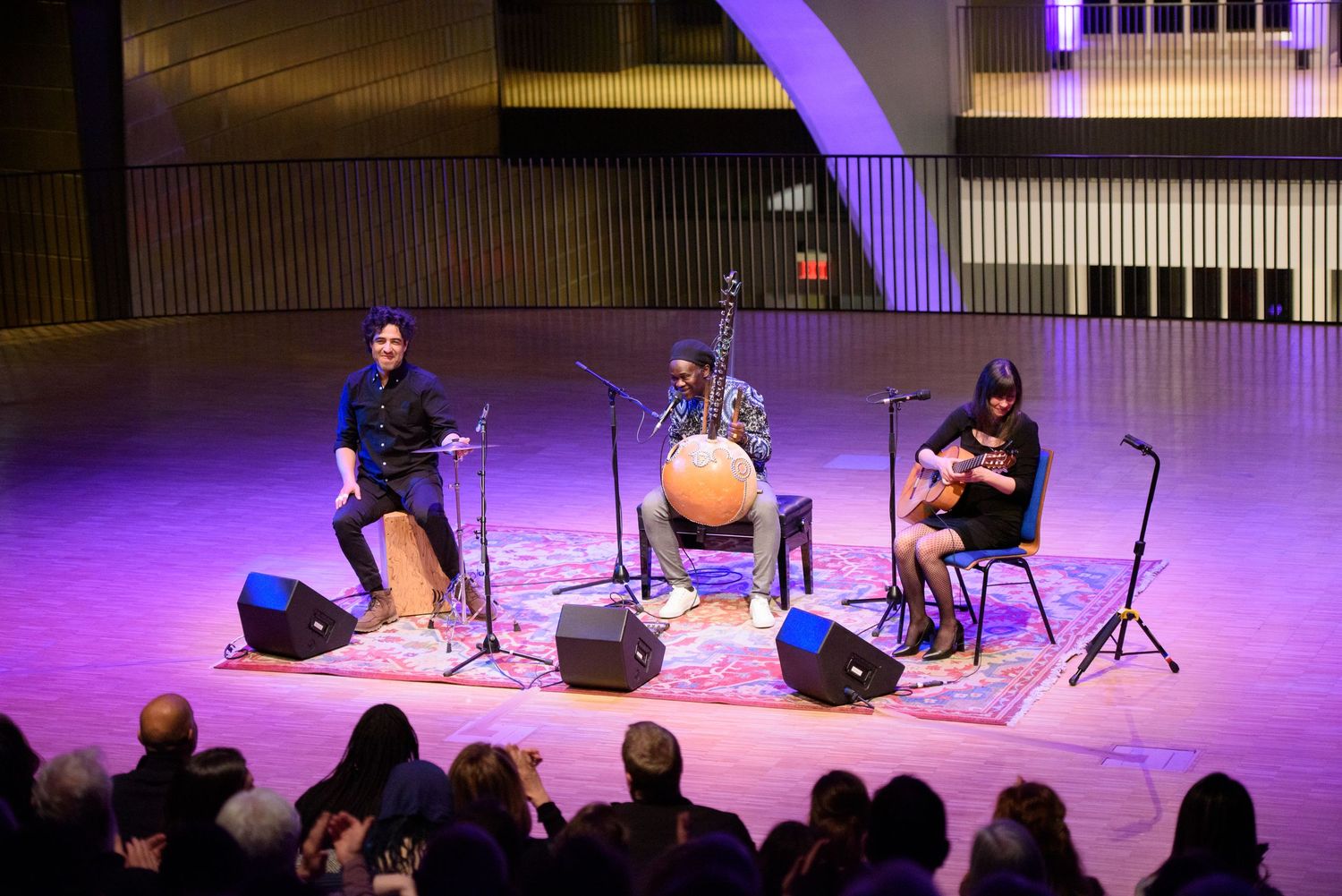 Three musicians performing world music on a purple-lit concert stage with traditional instruments before a live audience.