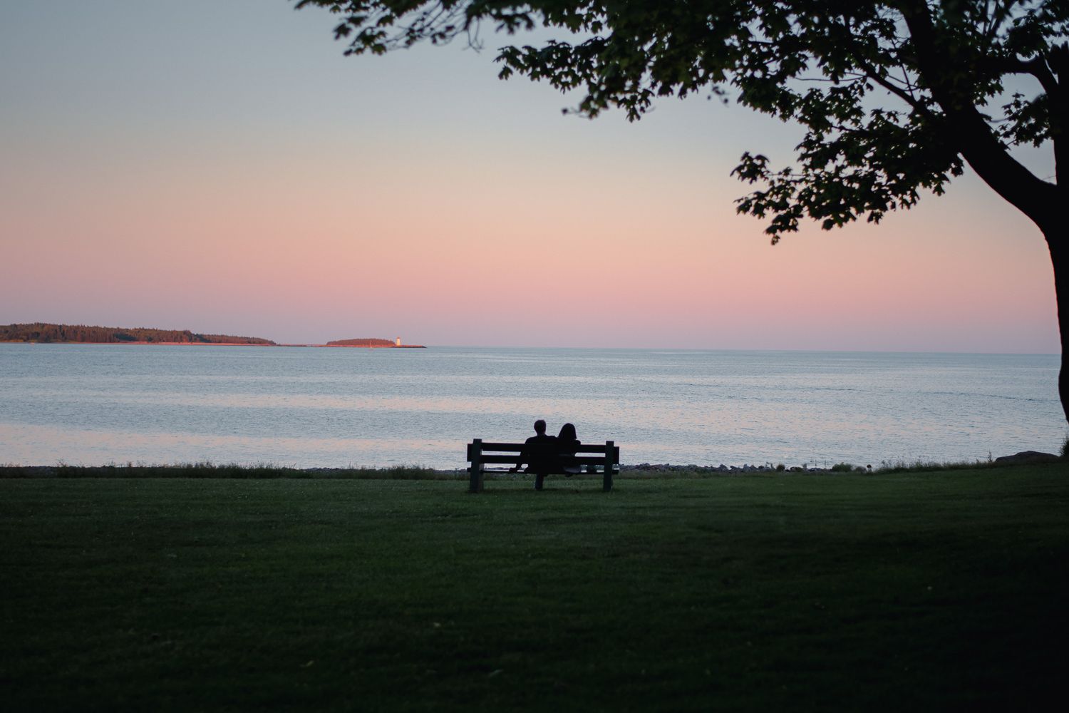 Couple sitting on bench at sunset overlooking calm ocean waters near shoreline tree.