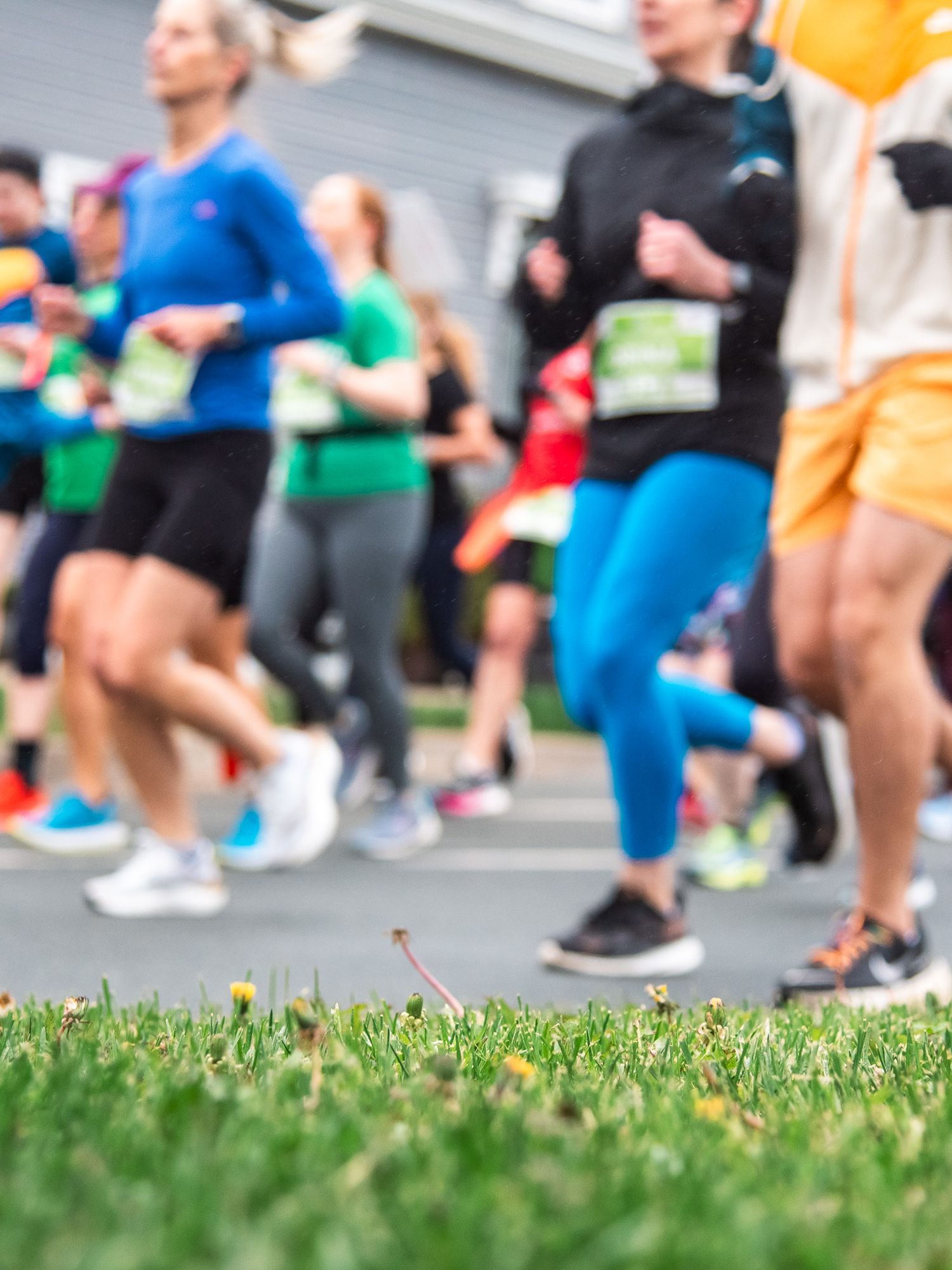 Runners in colorful athletic gear compete in an outdoor road race, with green grass and dandelions in the foreground.