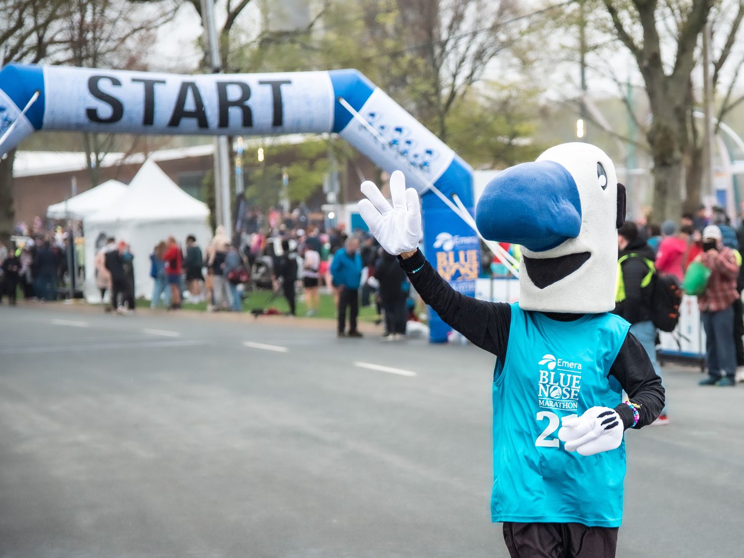 A bird mascot in a teal shirt waves at the START line of an outdoor race event with crowds gathered nearby.