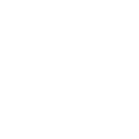 White blank placeholder image with no content or design elements visible.