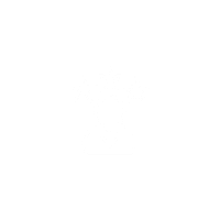 White blank placeholder image with no content or design elements visible.
