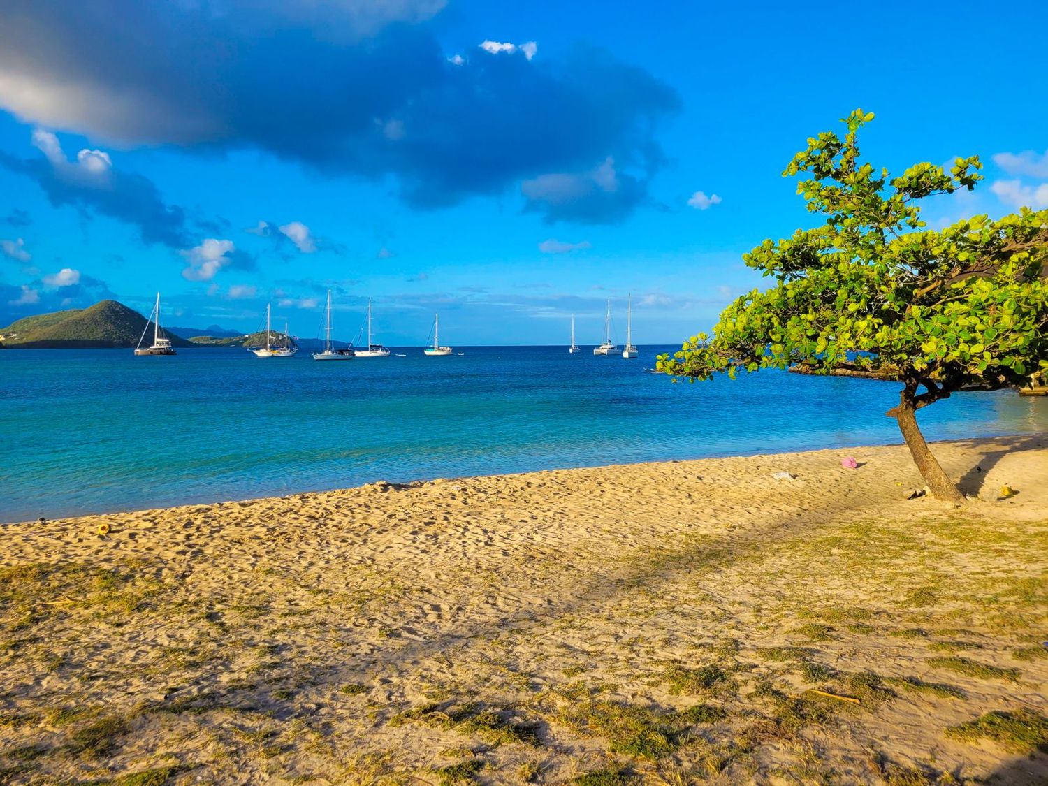 Sandy Caribbean beach with sailboats anchored in calm blue waters under bright sunny sky.