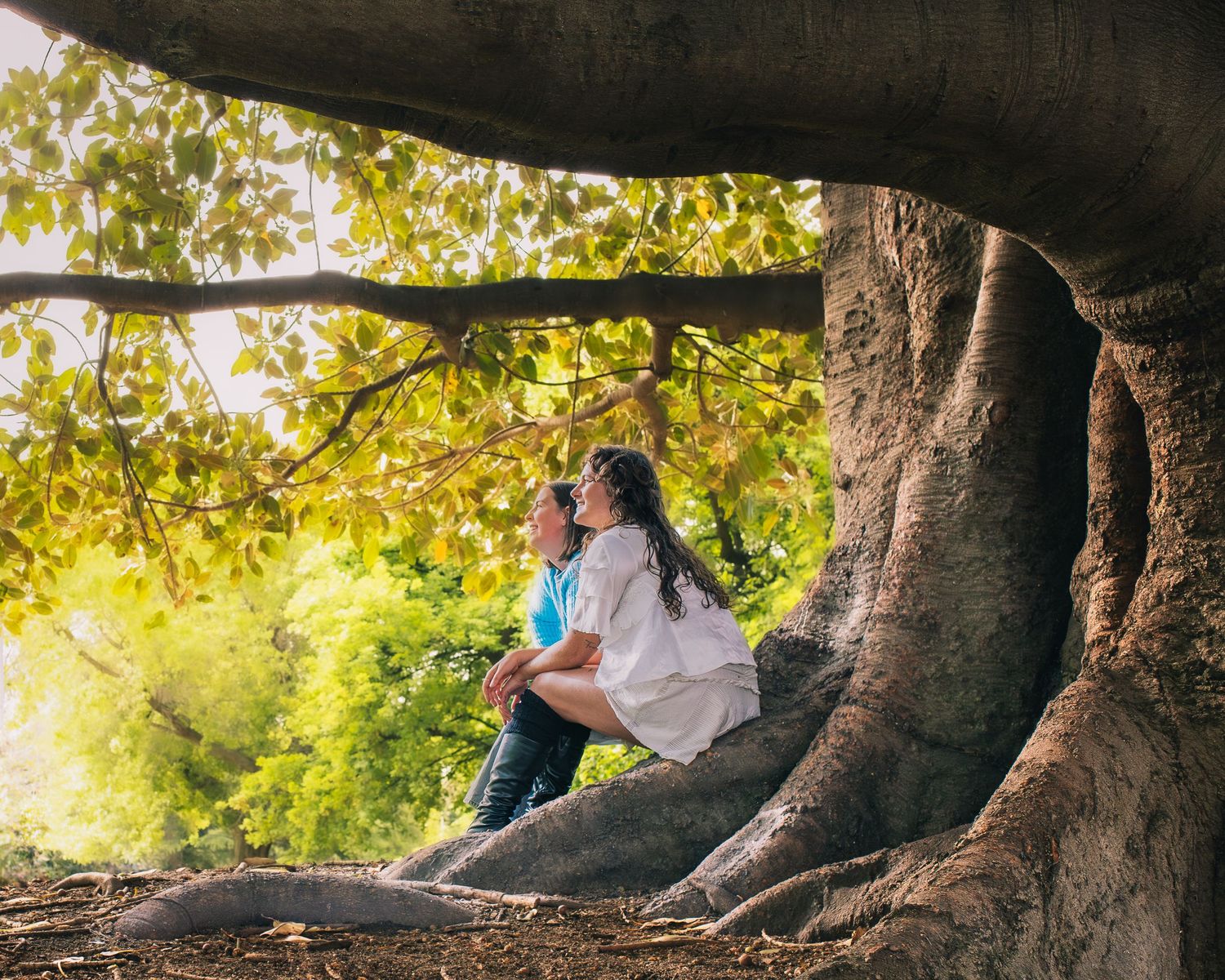 Couple sitting among massive tree roots in a lush green forest, framed by a large ancient tree canopy.