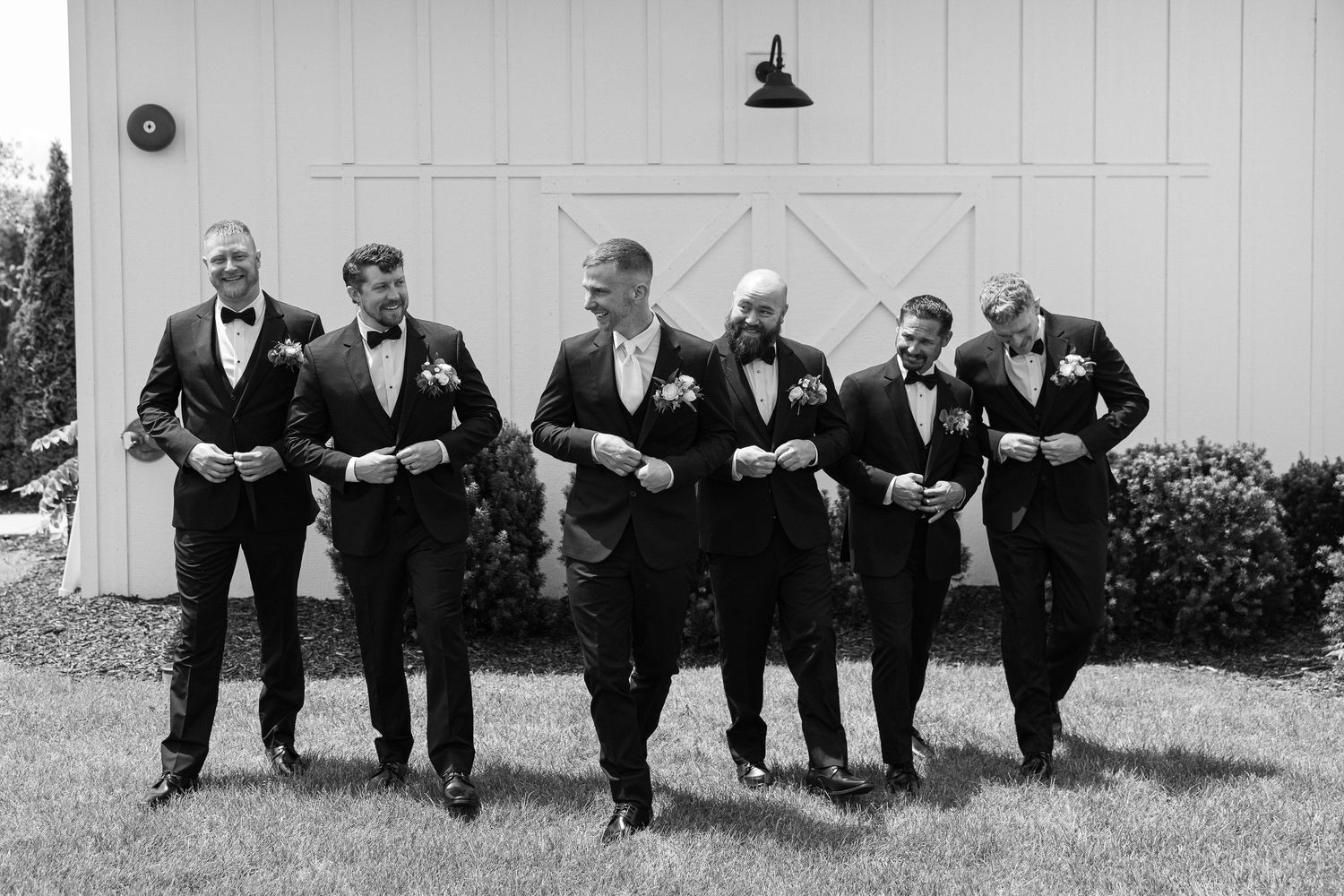 Black and white photo of six groomsmen in tuxedos with boutonnieres walking together on a lawn in front of a white barn.