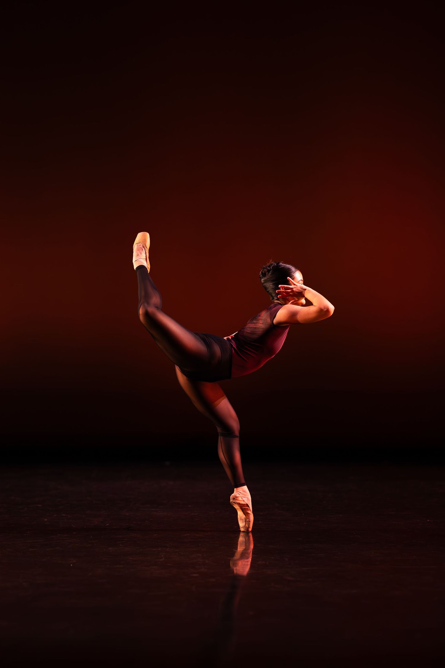 A ballerina in a burgundy leotard balances on pointe with one leg extended high in an arabesque on a softly lit dark stage.