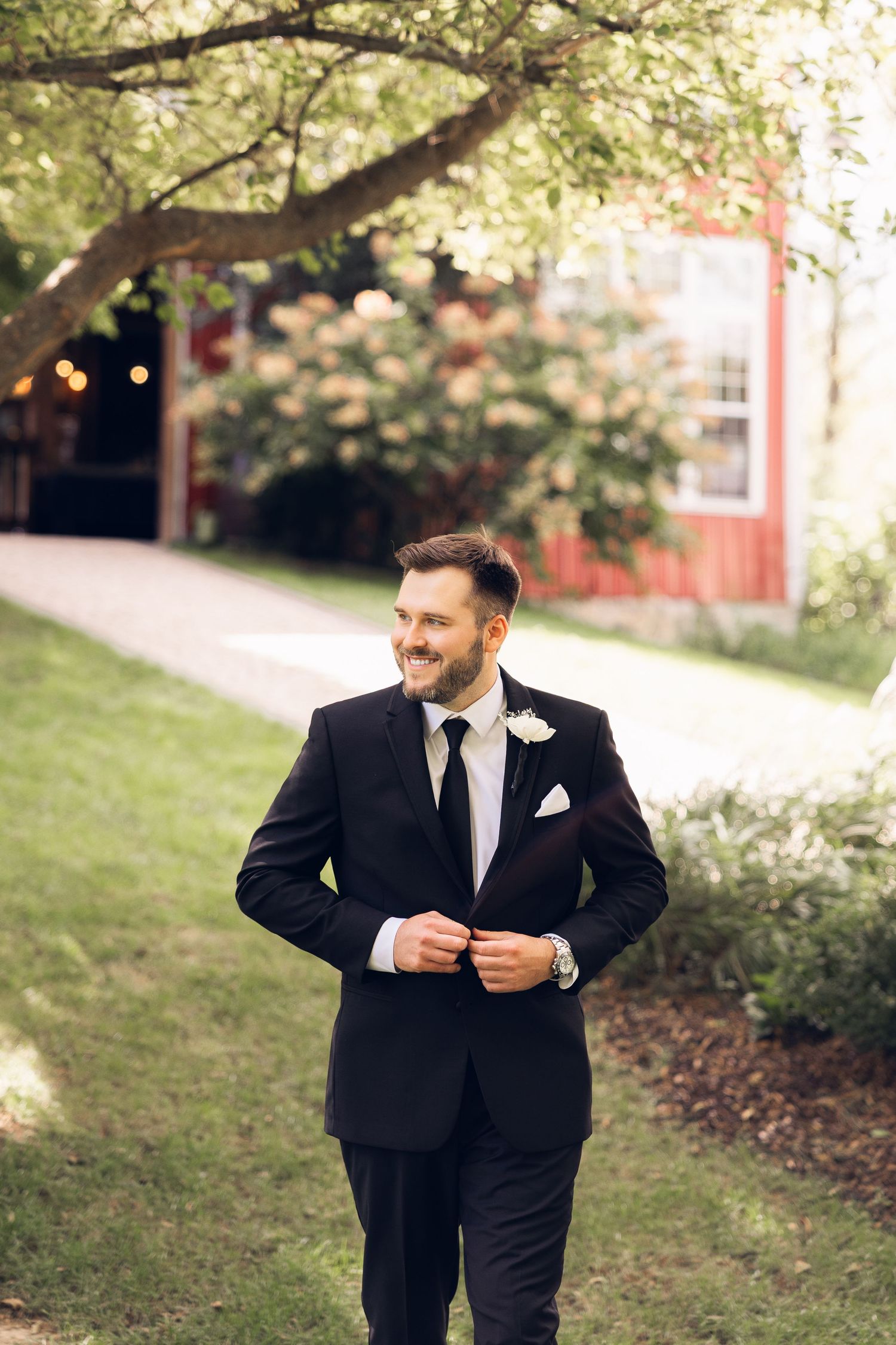 Smiling groom in a black suit with boutonniere adjusts his jacket on a sunny lawn near a red barn and blooming hydrangeas.
