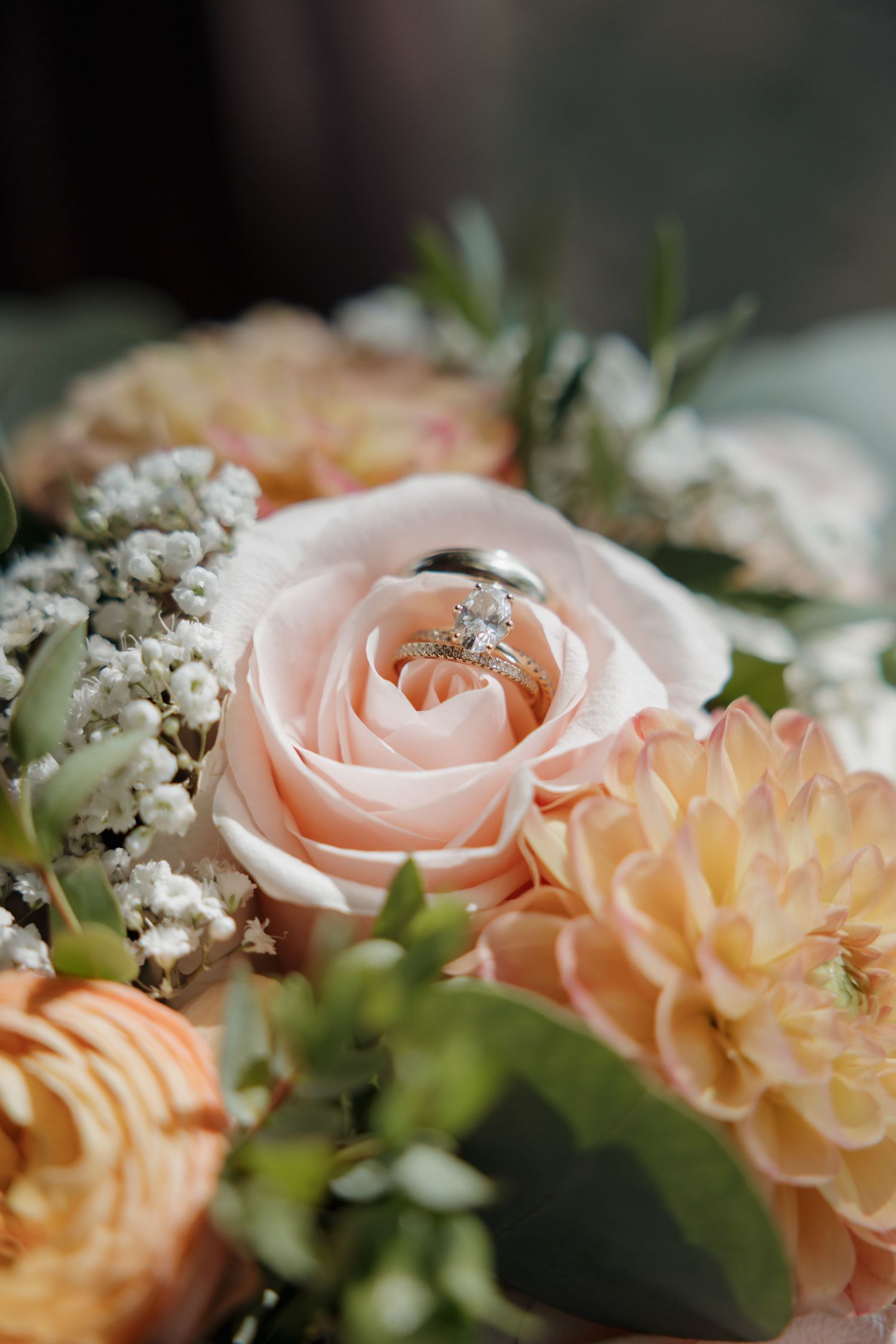 Diamond engagement ring and wedding band resting in a blush pink rose surrounded by peach dahlias and baby's breath bouquet.