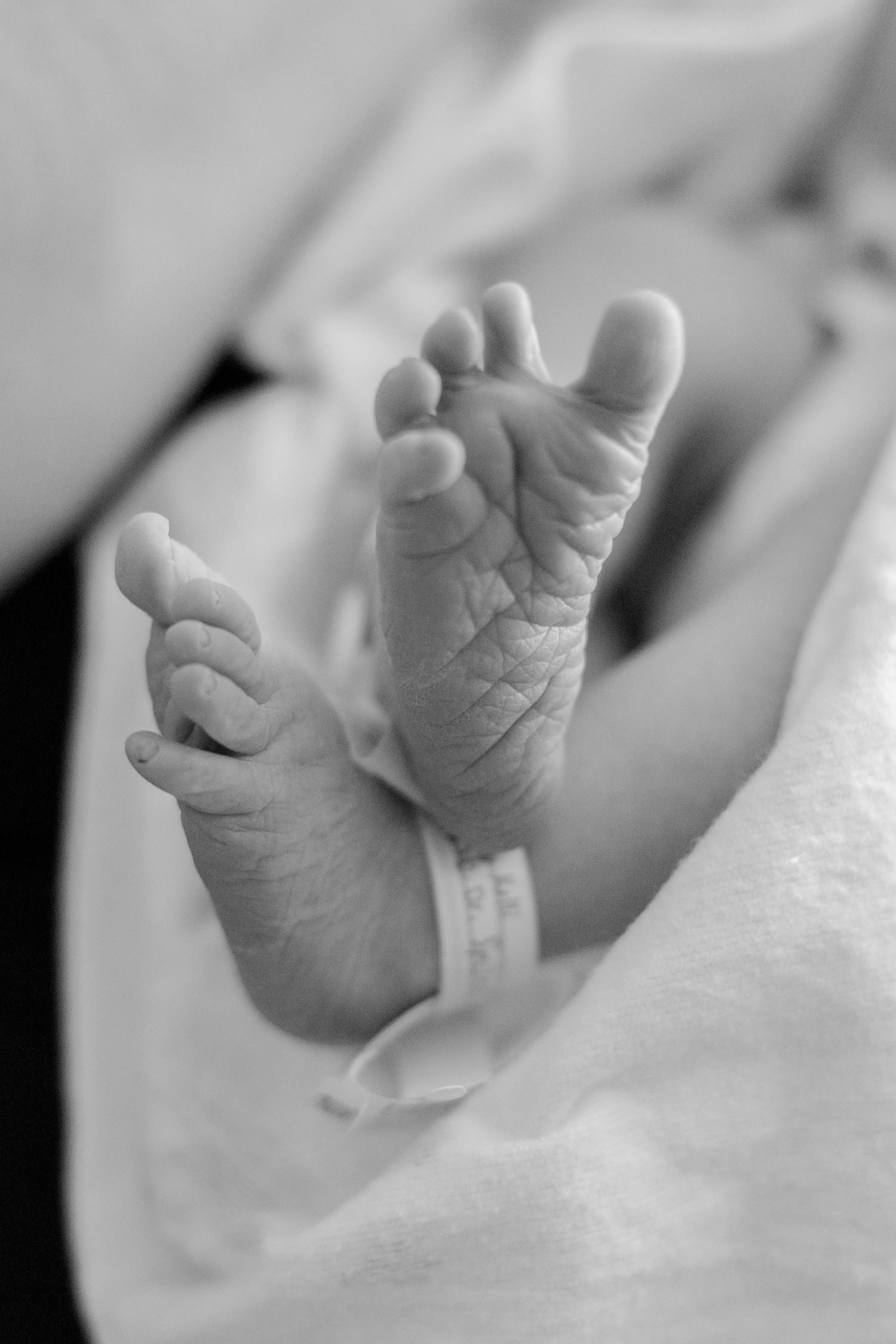 Black and white close-up photo of newborn baby feet with hospital identification bracelet.