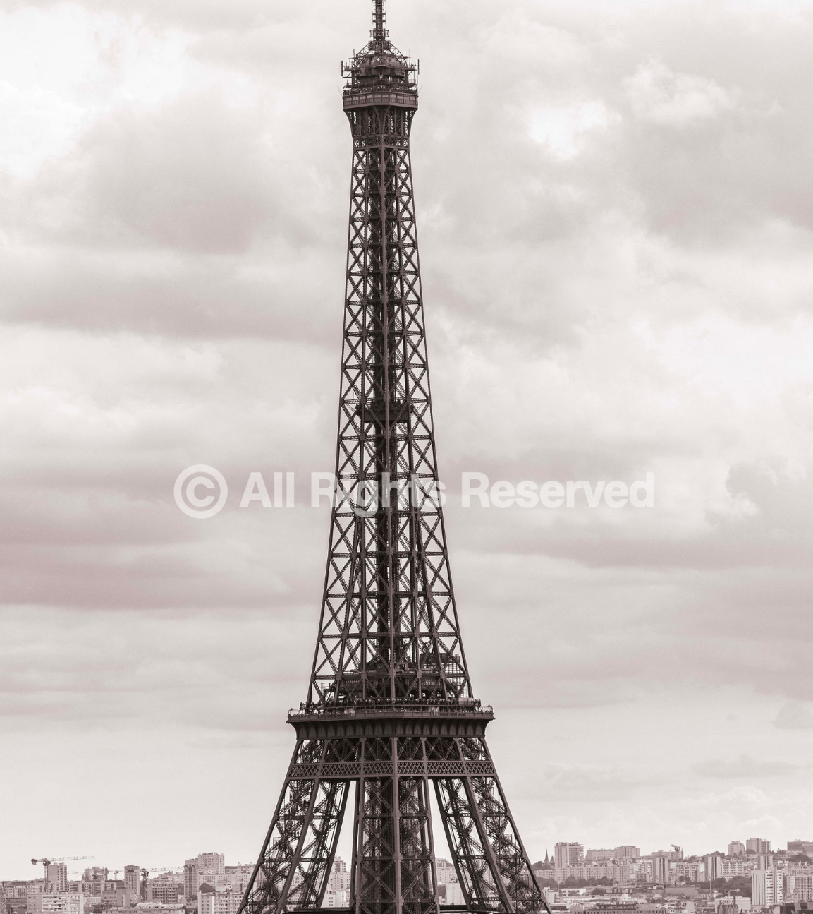 A panoramic black and white view of the Eiffel Tower in Paris with cloudy skies and cityscape in the background.