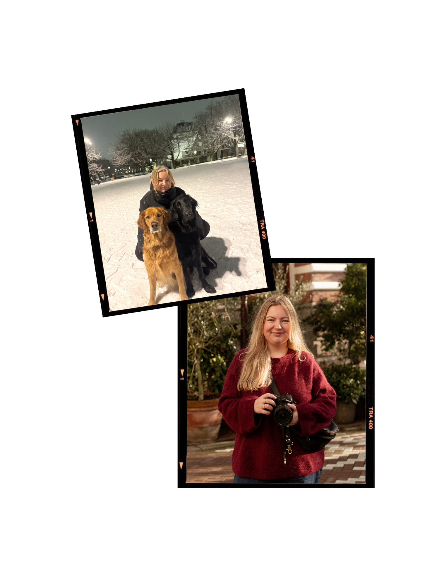 Winter scene with a golden retriever dog in the snow and a photographer with a camera in a red coat.