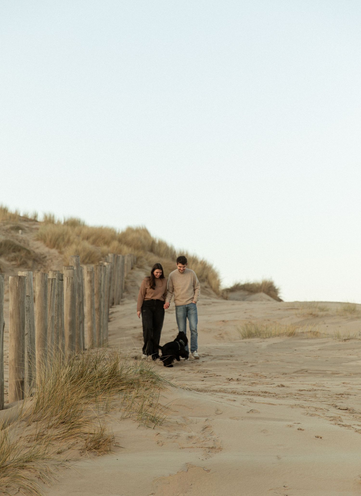 Wooden posts line a sandy beach path during golden hour.