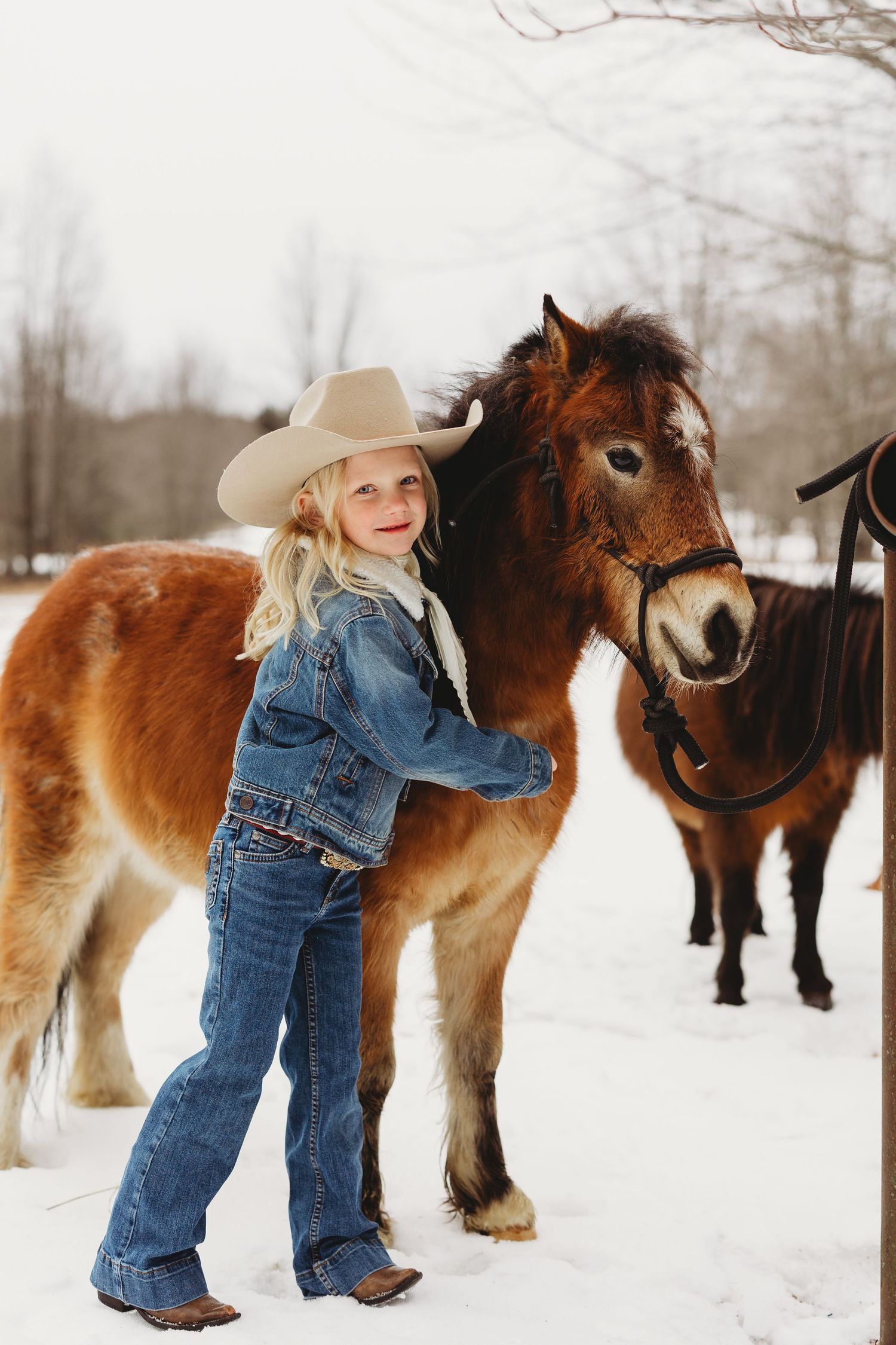 Clydesdale draft horse and child in denim playing together in snowy winter landscape.