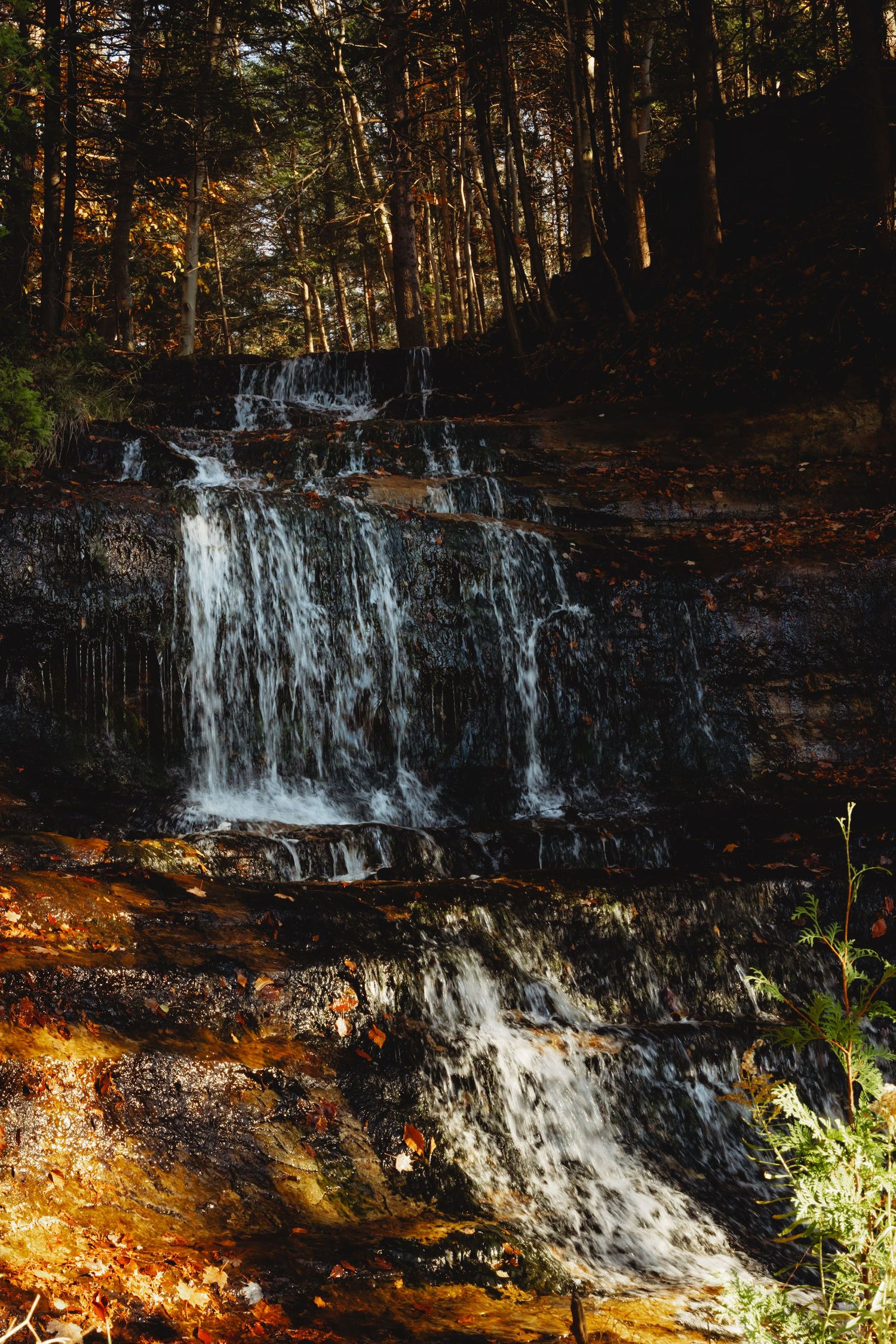 Scenic waterfall cascades down rocky cliff face in autumn forest setting.