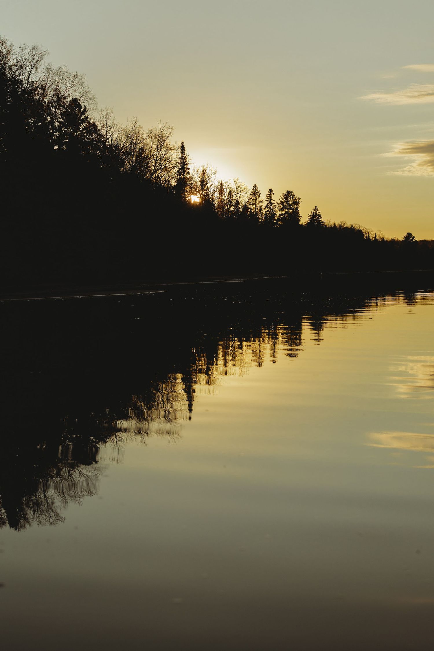 Tranquil sunset over a lake with silhouetted trees reflecting on calm waters.