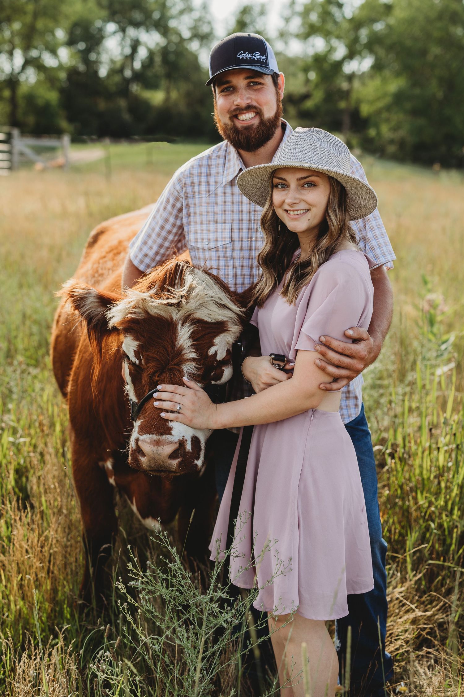 Couple poses with brown cow in sunny field wearing casual country attire during golden hour photo session.