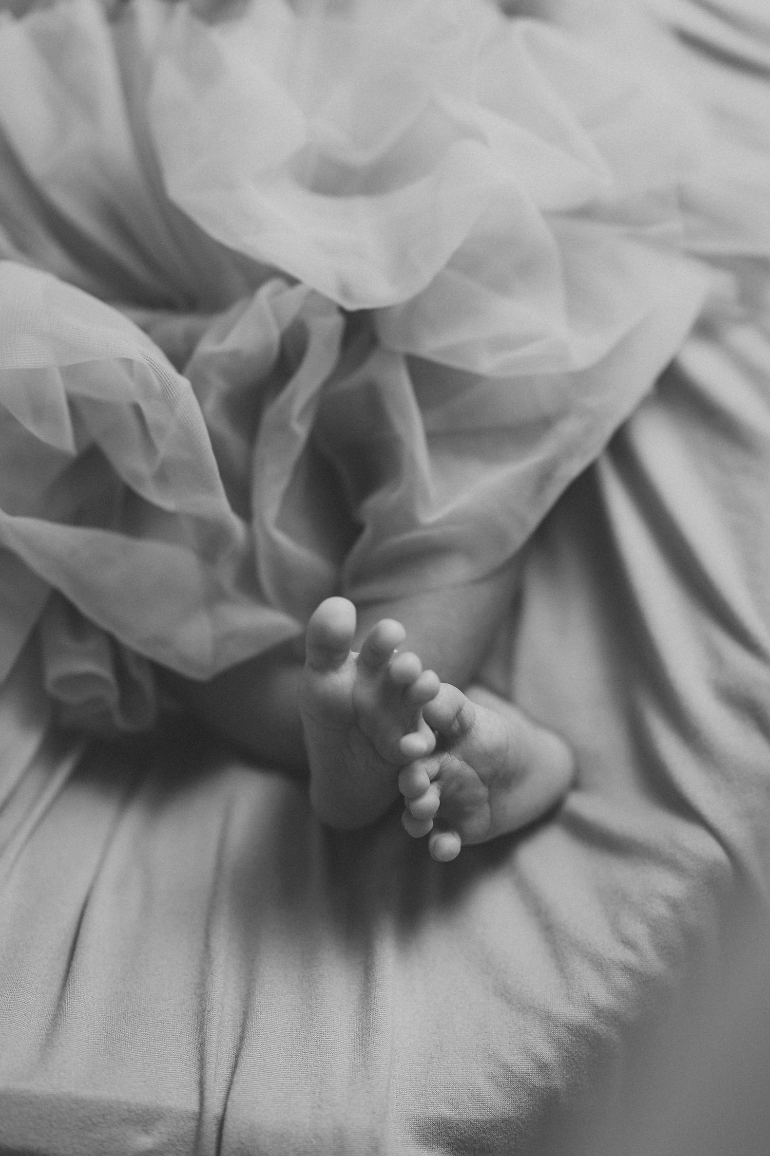 Black and white close-up of tiny baby feet against soft fabric.