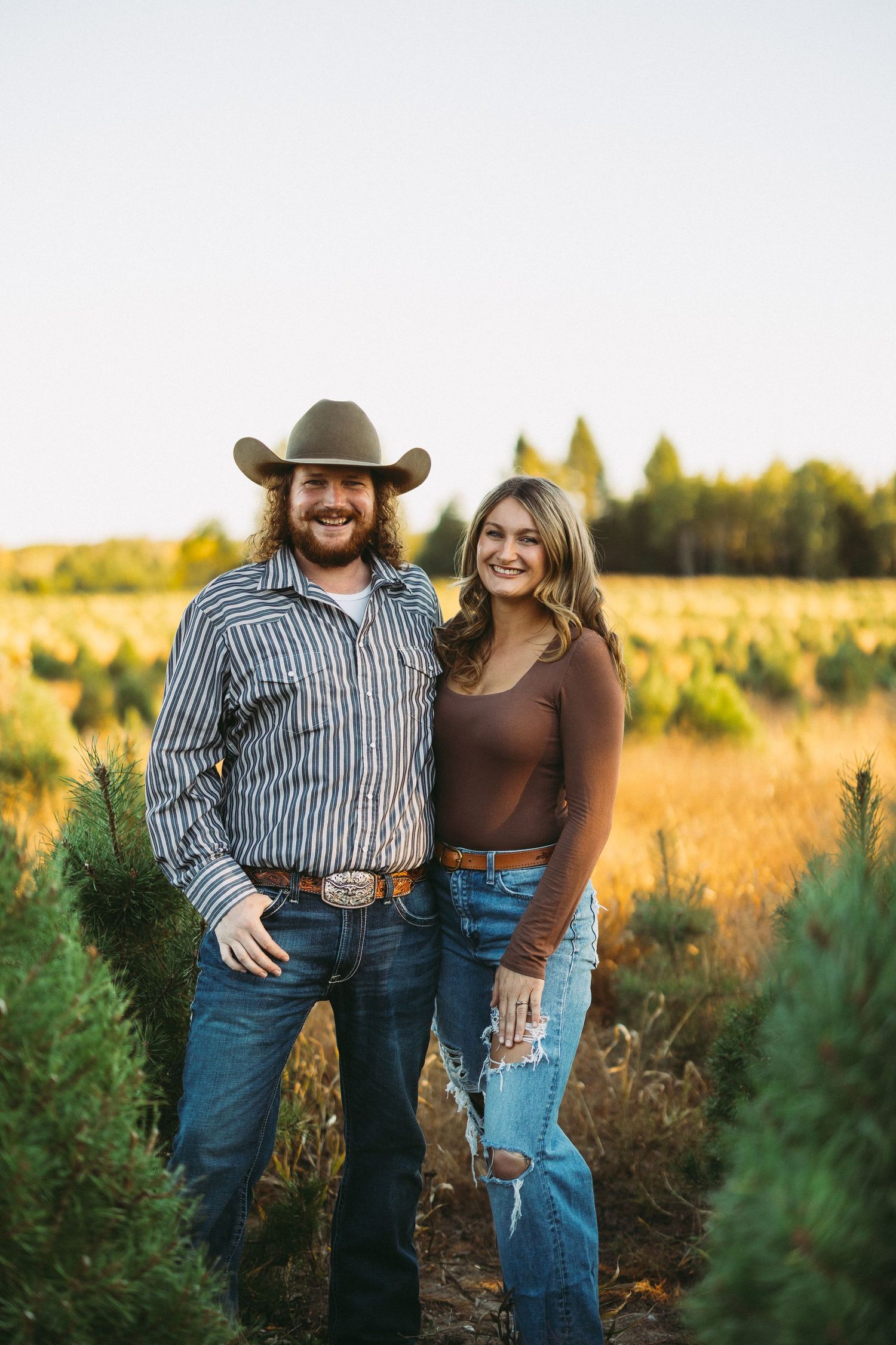 A couple poses together in a golden field at sunset with evergreen trees in the background.