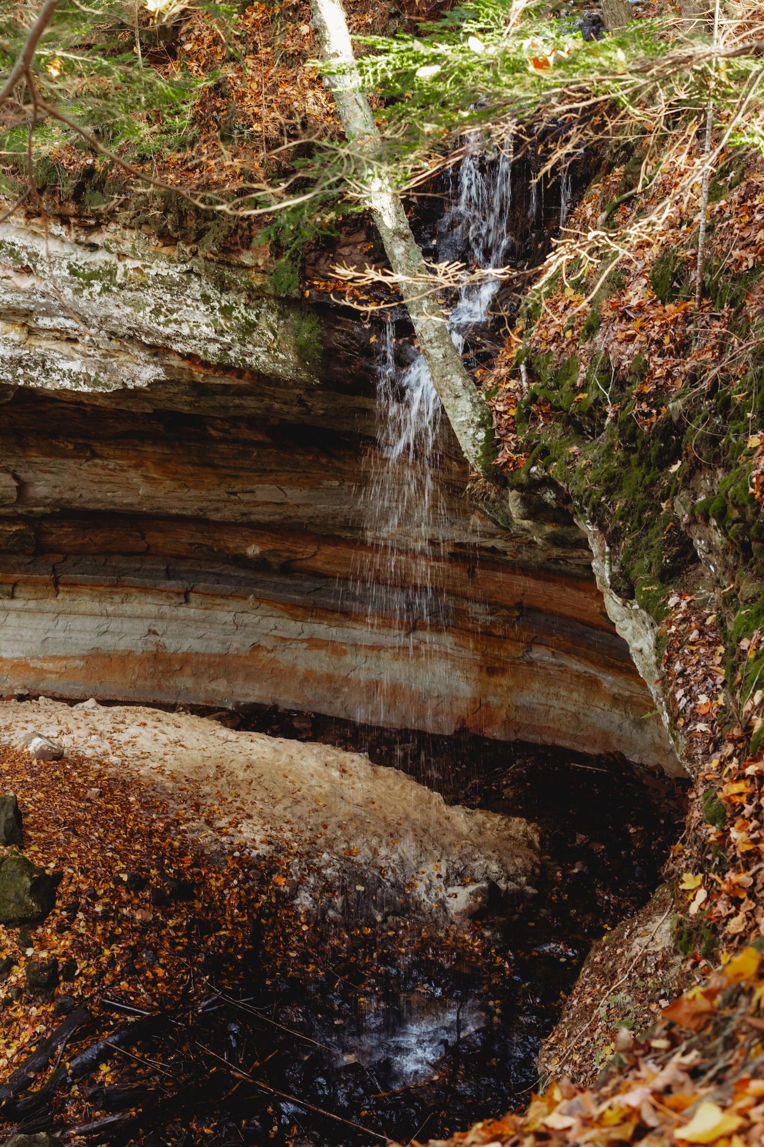 Small waterfall cascades over a rocky ledge surrounded by fall foliage.