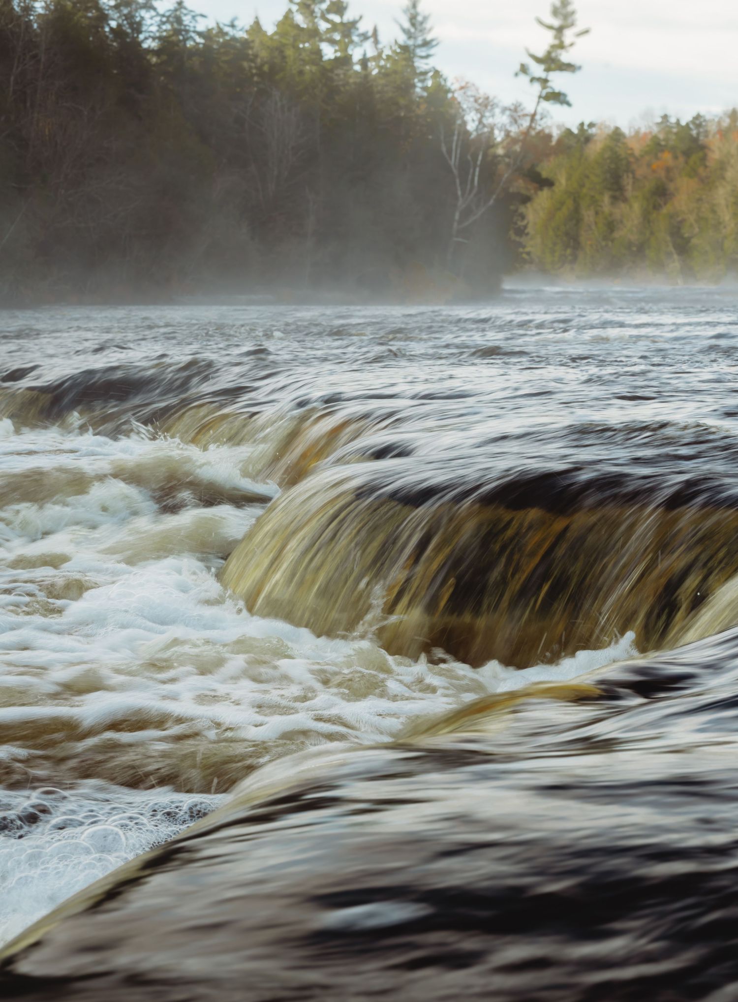 Rushing waters flow over rocky rapids in a northern wilderness setting.