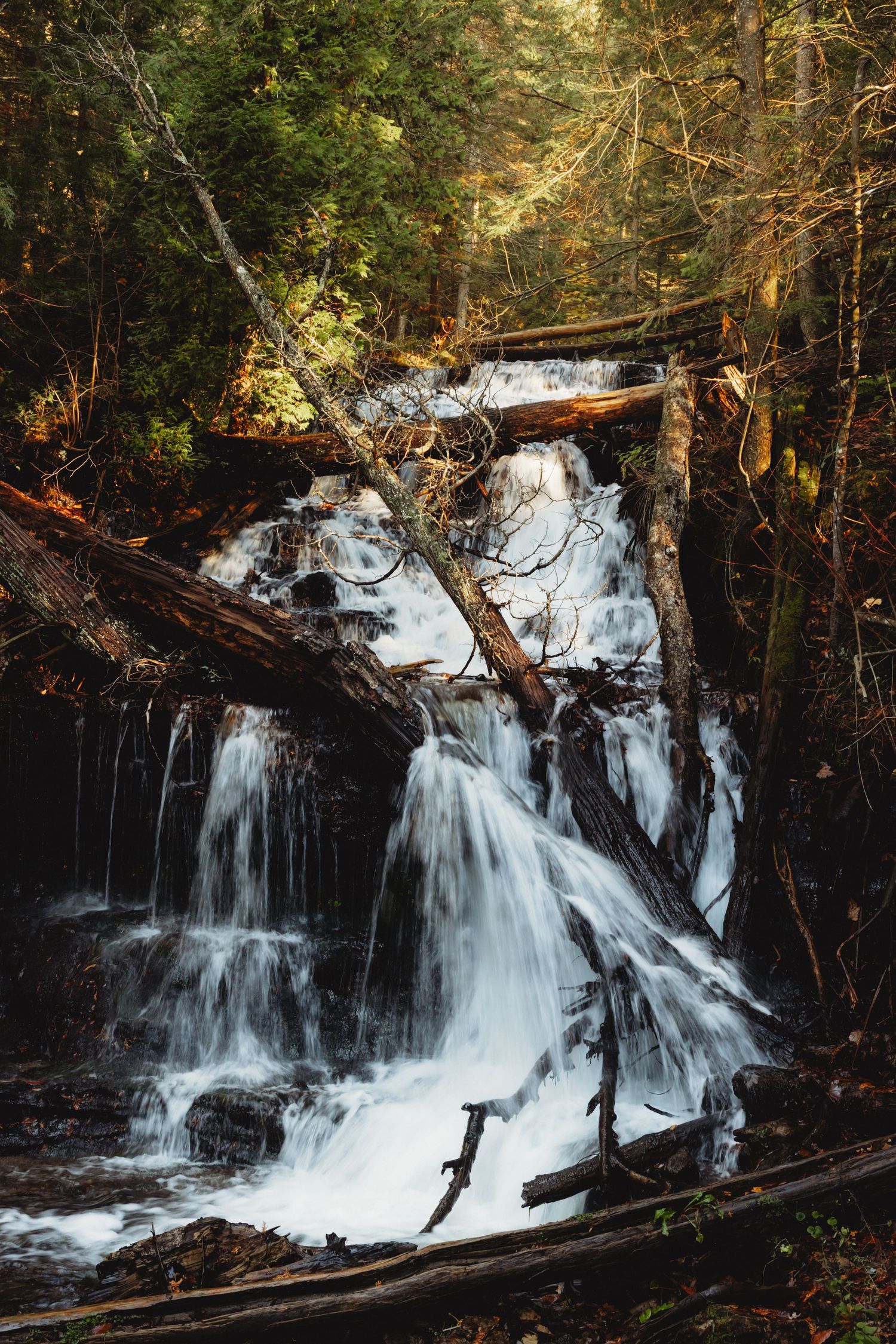 Majestic multi-tiered waterfall flows through forest with fallen logs and autumn foliage.