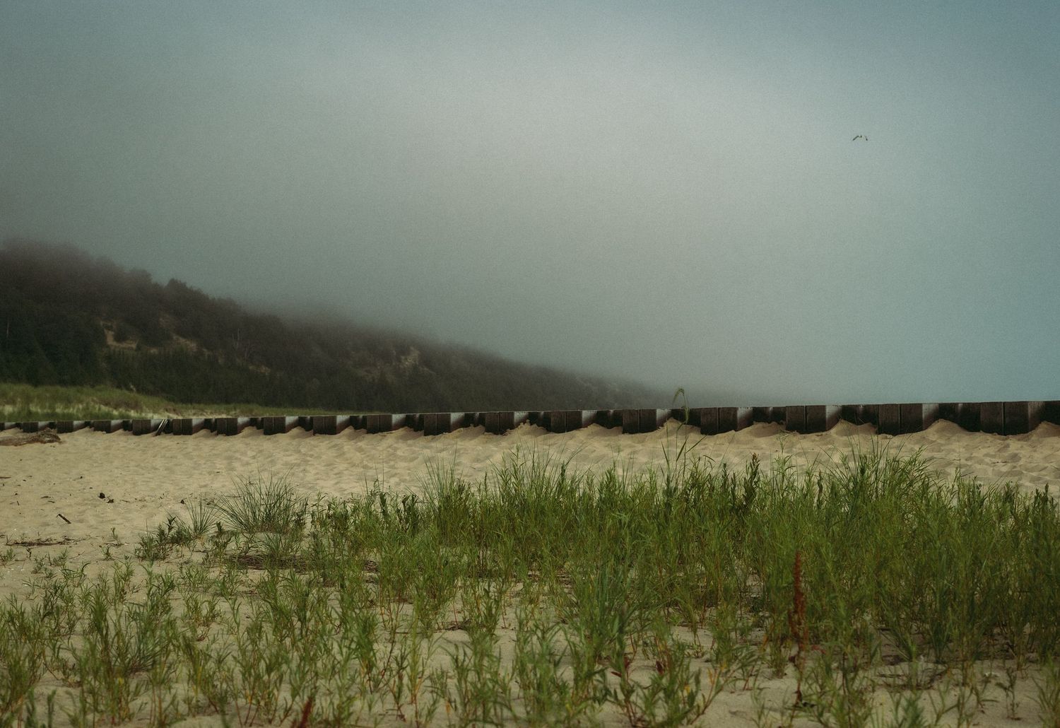 A scenic panoramic view of rolling hills and fields stretching to the horizon under cloudy skies.