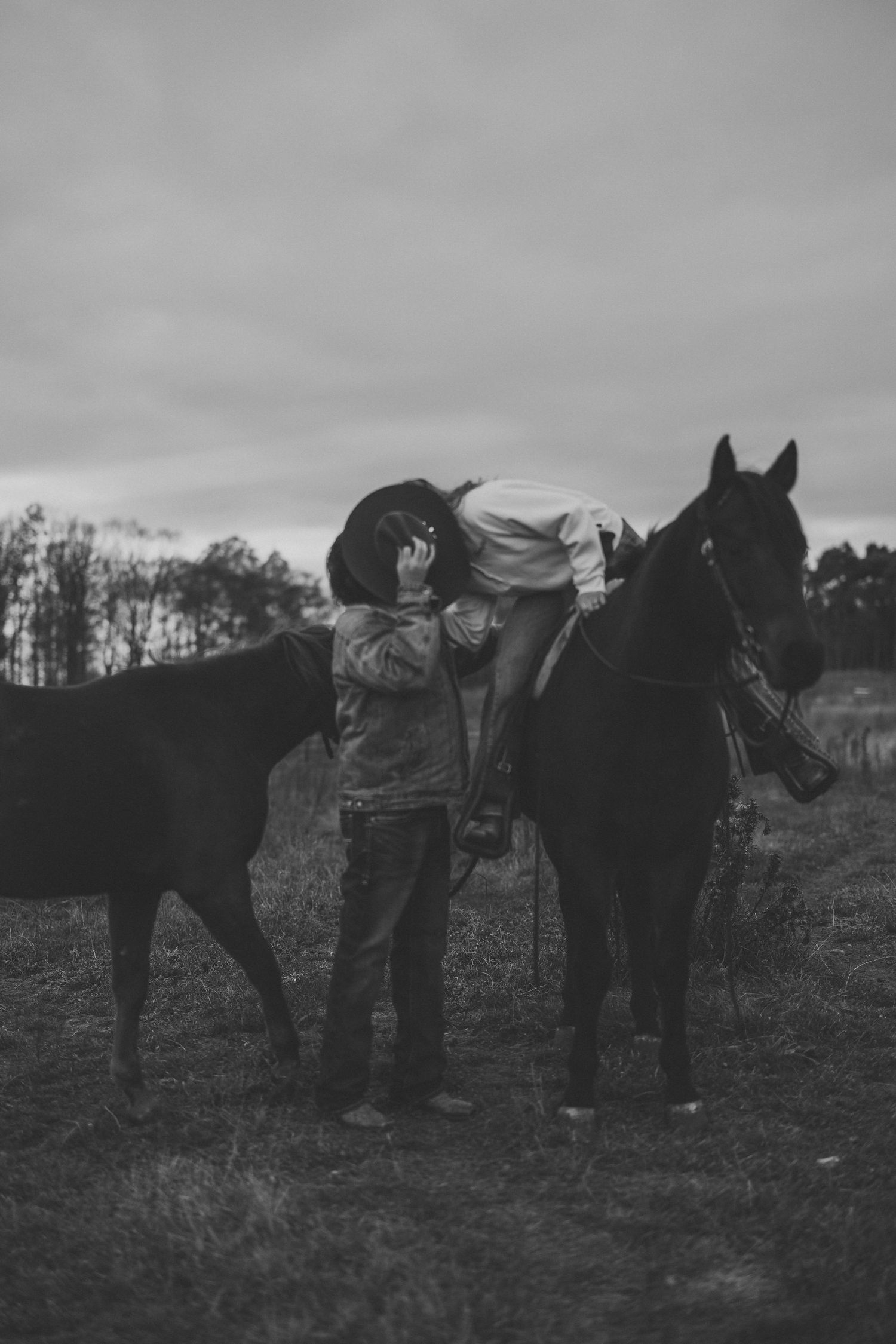 Black and white photograph of horses lined up in a field with people tending to them.
