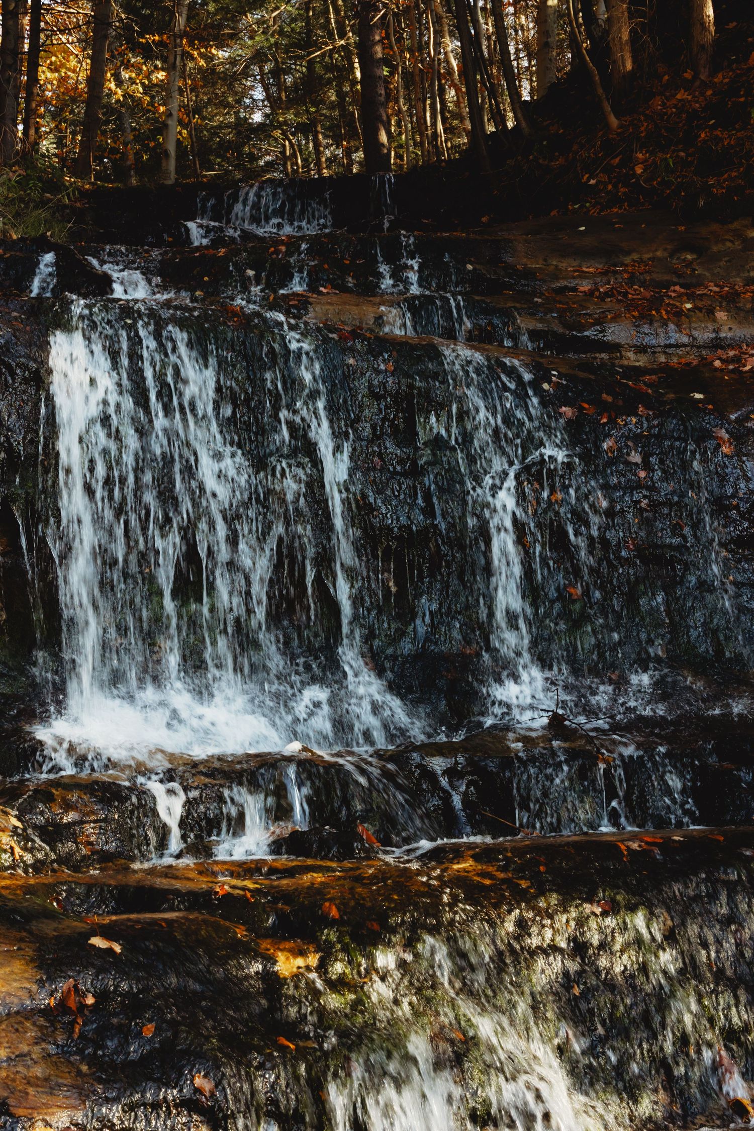Wide cascading waterfall flowing over dark rocks in a forest setting during autumn.