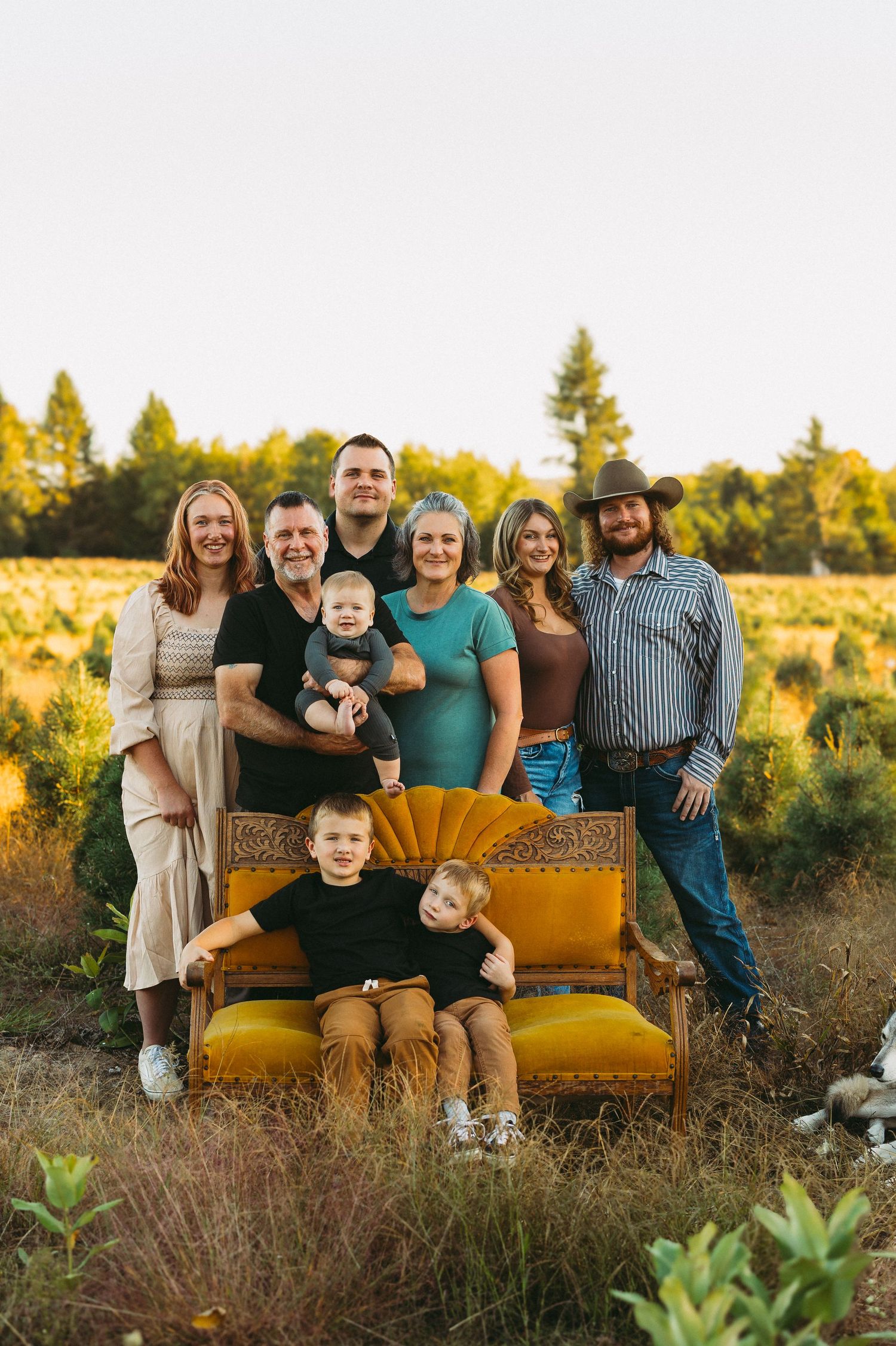 Family portrait outdoors on yellow vintage couch surrounded by tall grass at golden hour.
