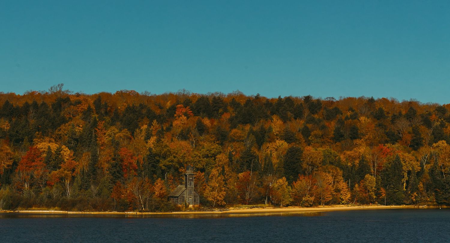 Autumn forest with vibrant orange foliage along a waterfront under clear blue skies.