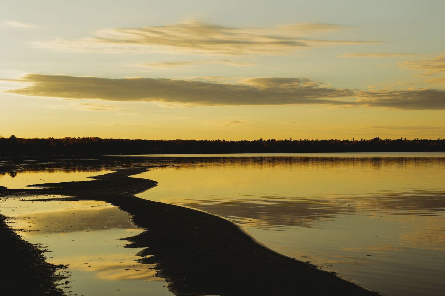 Golden sunset over a coastal shoreline creating dramatic silhouettes against a yellow-orange sky.