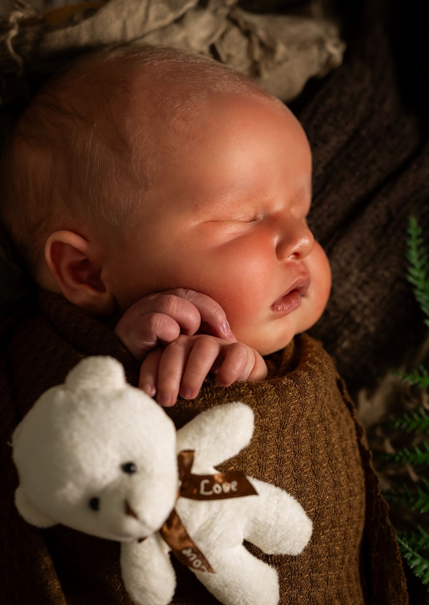 Sleeping newborn baby wrapped in olive green swaddle holding a small white teddy bear with a Love ribbon.