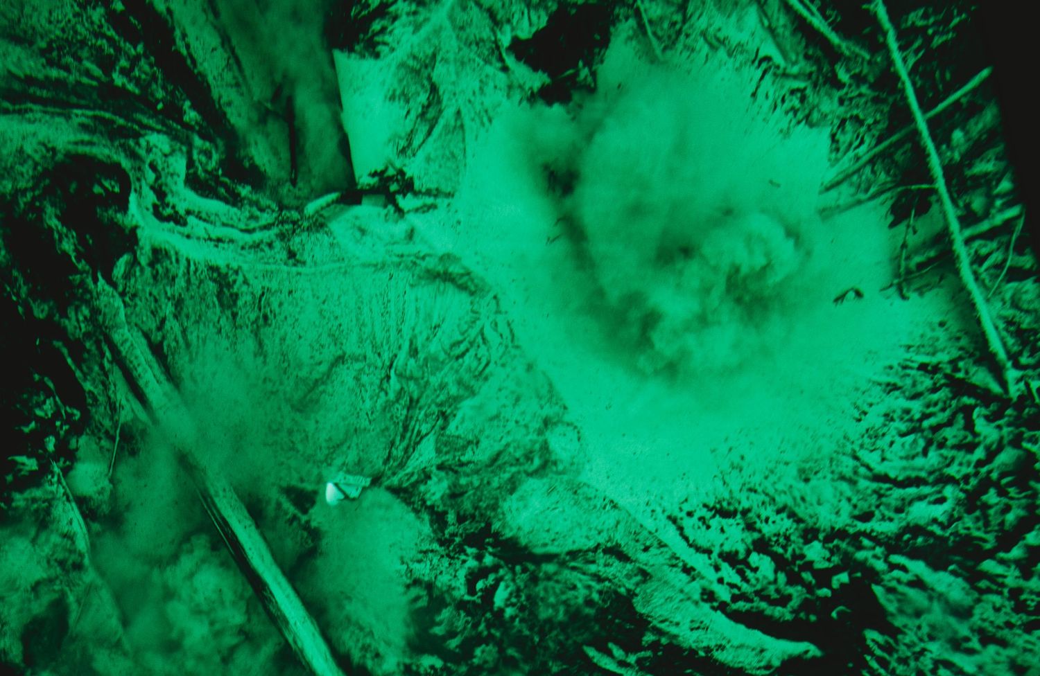 Underwater view of glowing green bioluminescent organisms creating a mystical aquatic landscape.