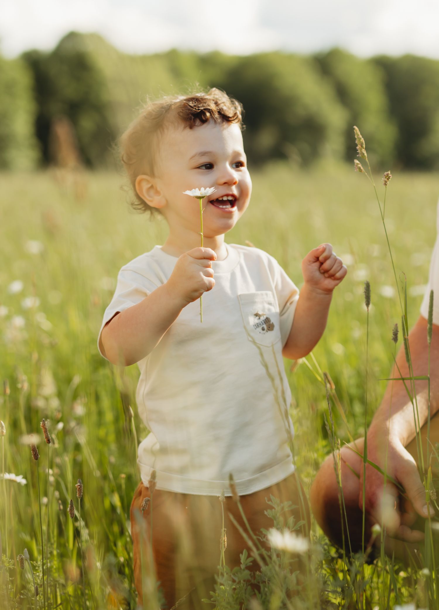 Happy toddler in white outfit holding a daisy in a sunny green meadow field.