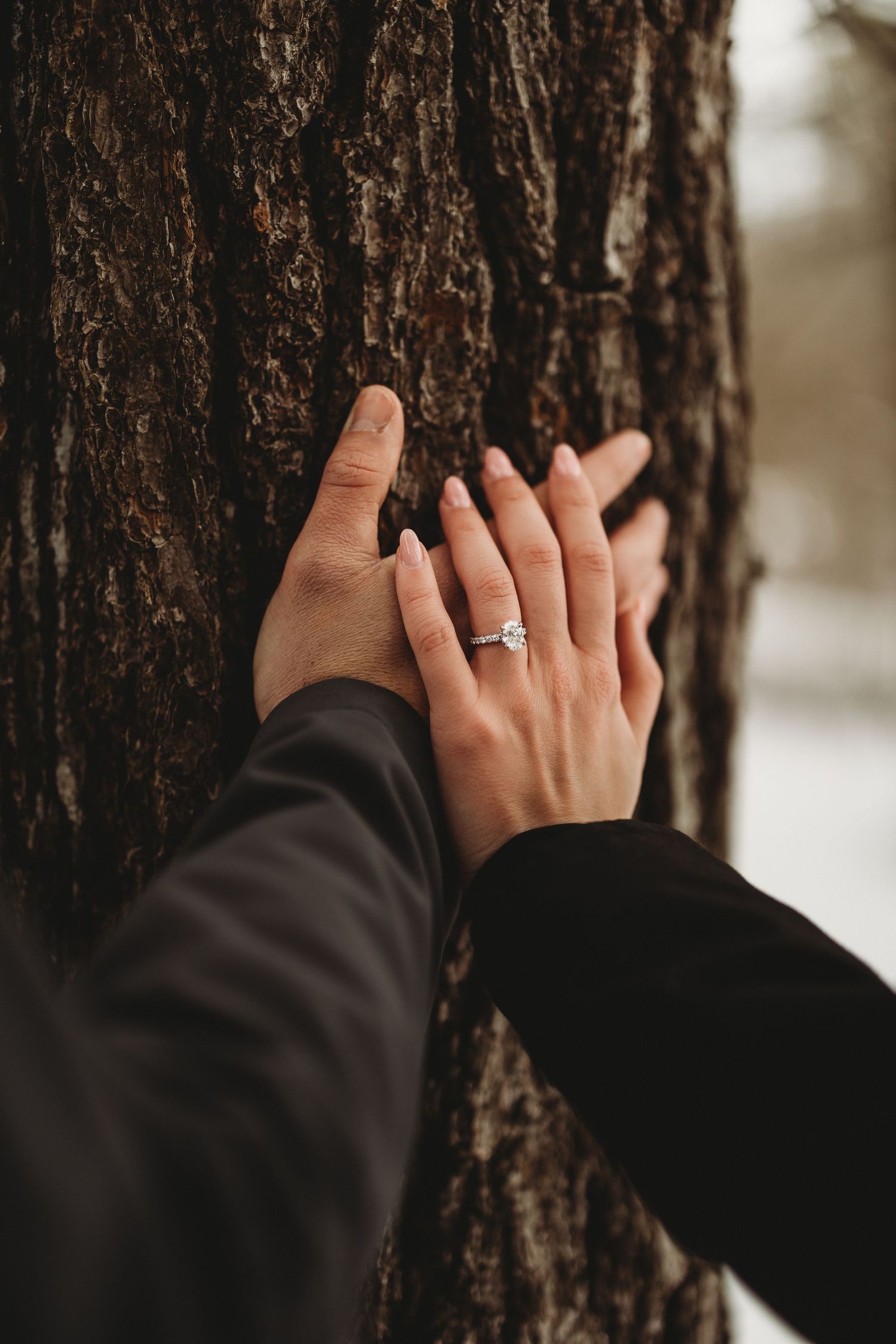 Close-up shots of hands with engagement ring against tree bark texture.
