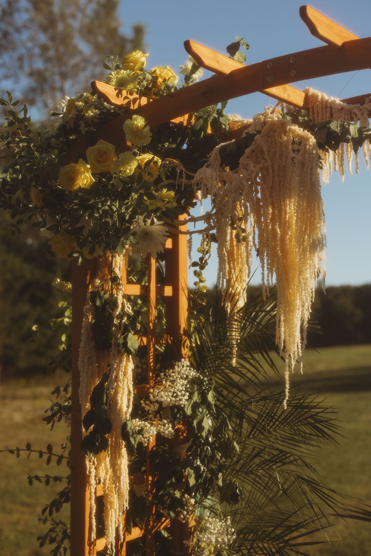 Wooden wedding arch decorated with yellow roses, greenery, palm fronds and hanging amaranthus at golden hour.