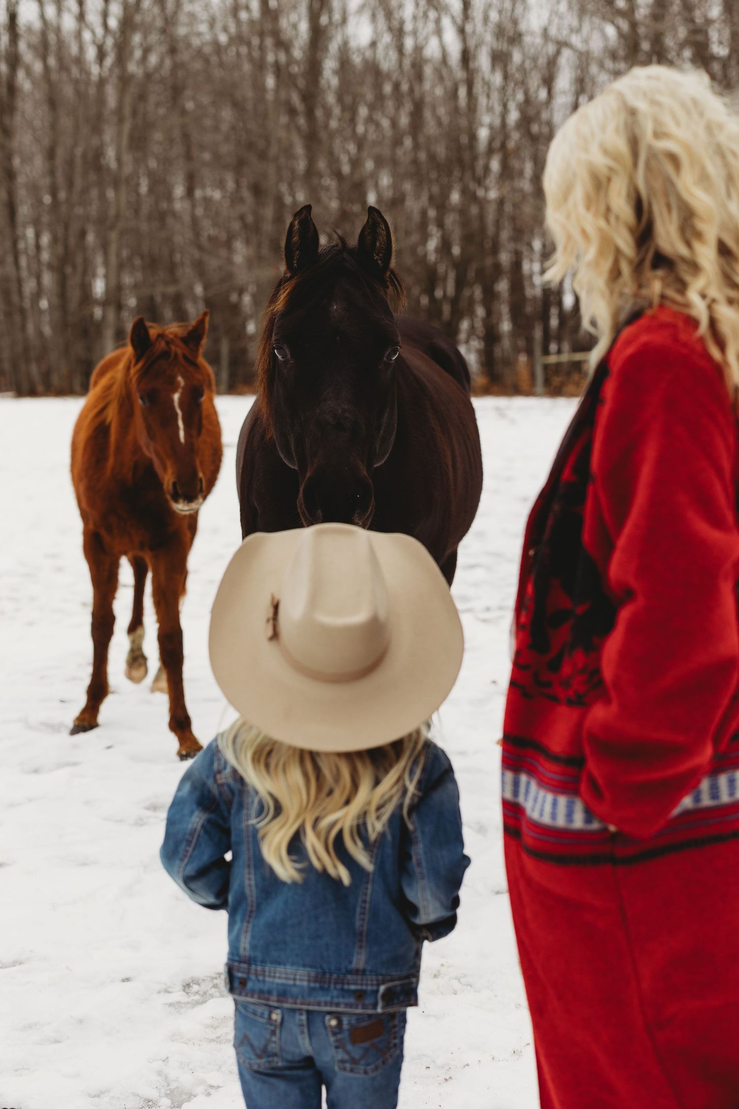 Two people in denim and red jackets stand in a snowy field with horses visible in the winter landscape.