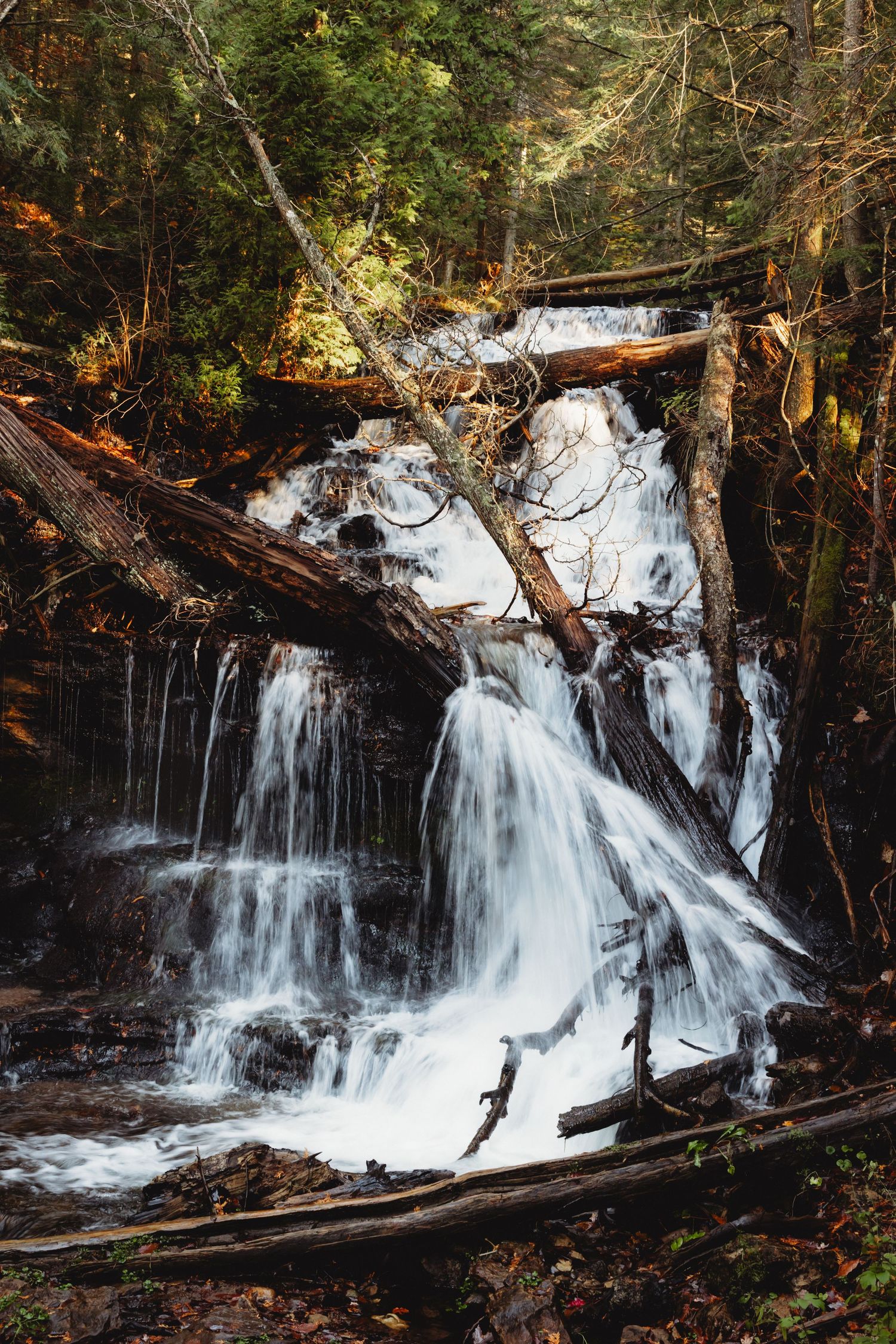 Multiple waterfalls cascade over rocks in a forest setting during fall.