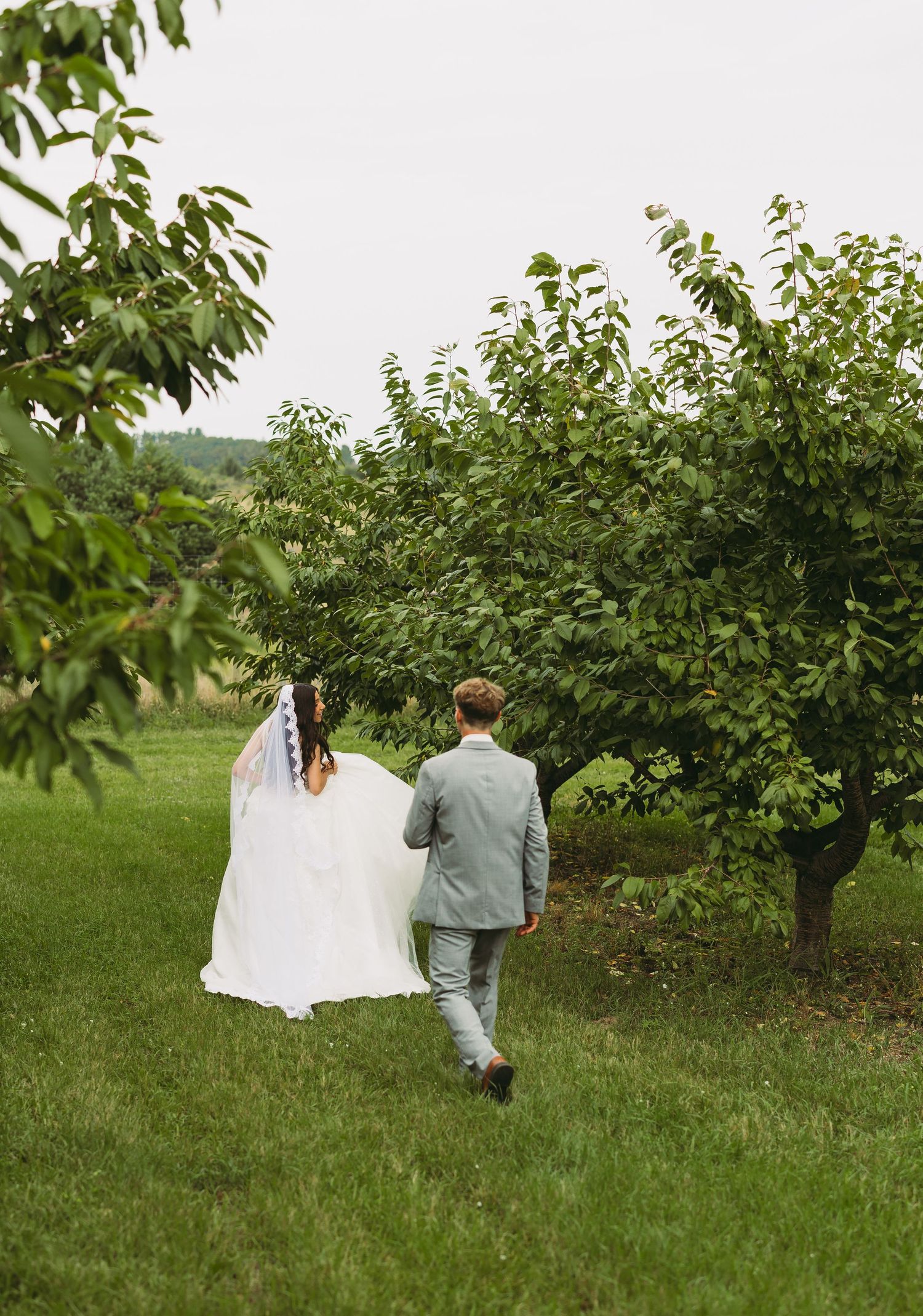 Newlyweds walking hand in hand through an orchard on their wedding day.