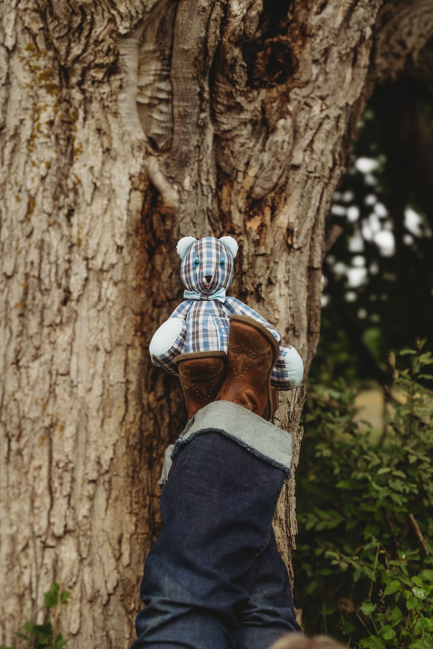 Child holding a plaid teddy bear against a textured tree trunk outdoors.