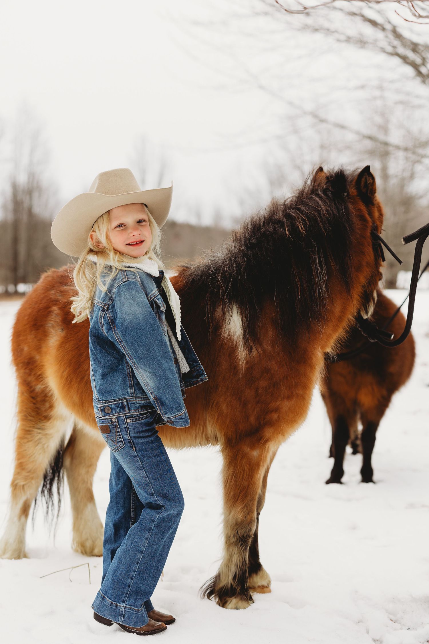 A series of photos showing miniature ponies standing in a snowy field with someone in western attire.
