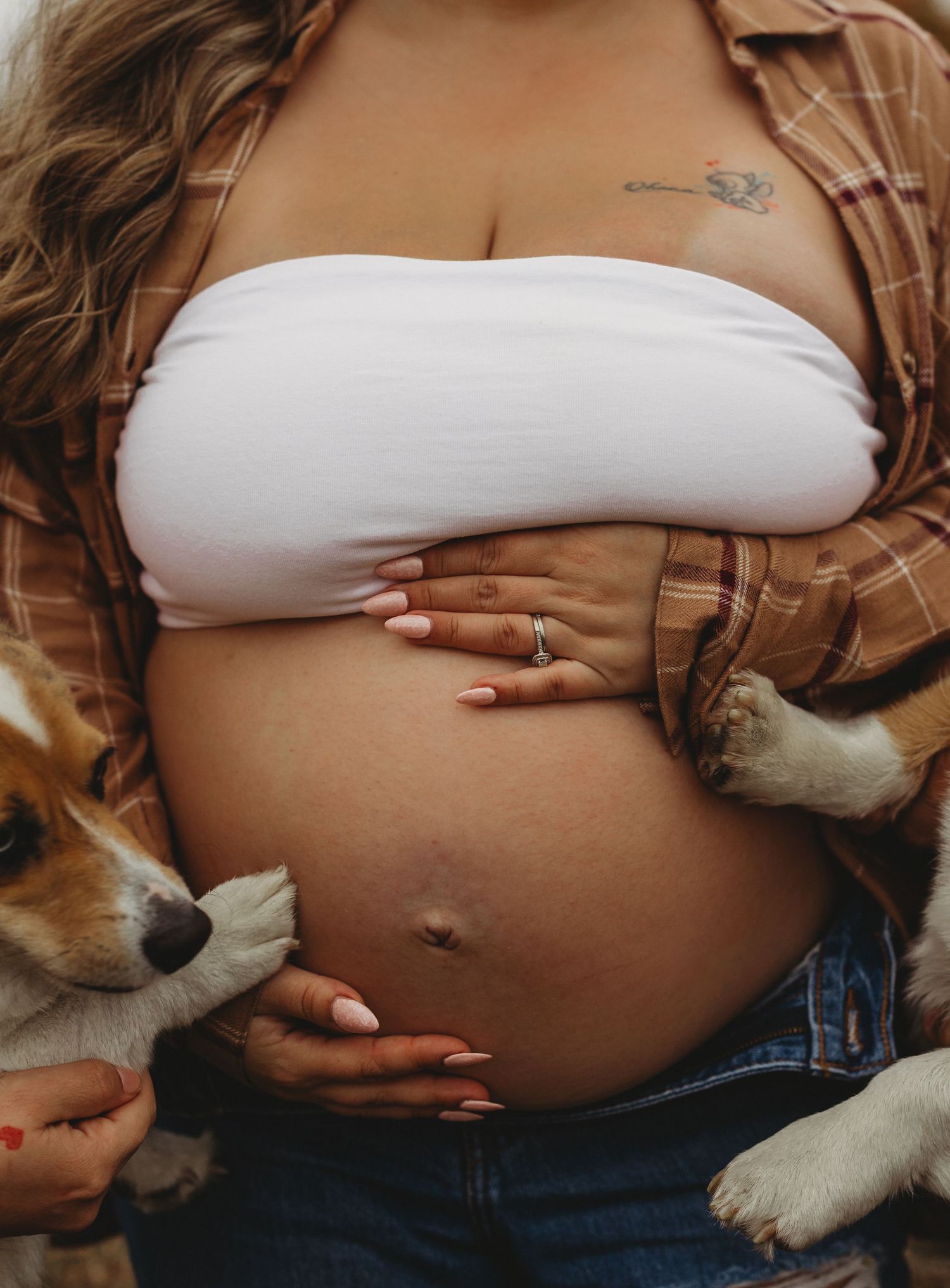 Maternity photo featuring pregnant belly with a fluffy dog peeking into frame.