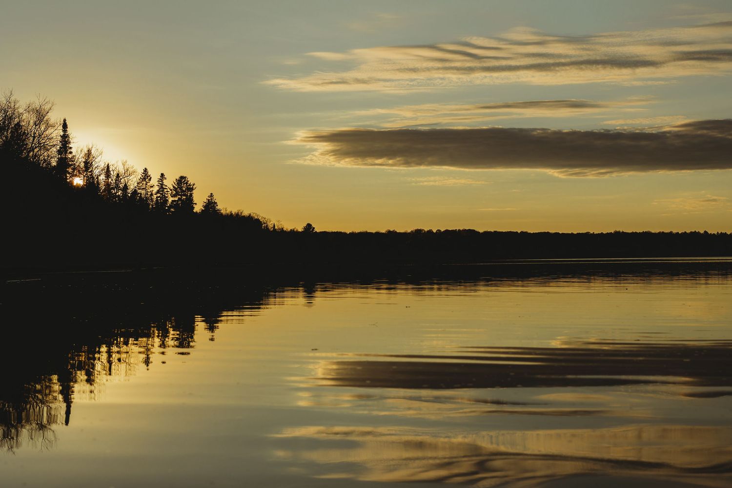 Peaceful sunset panorama over calm lake waters with silhouetted pine trees on the horizon.