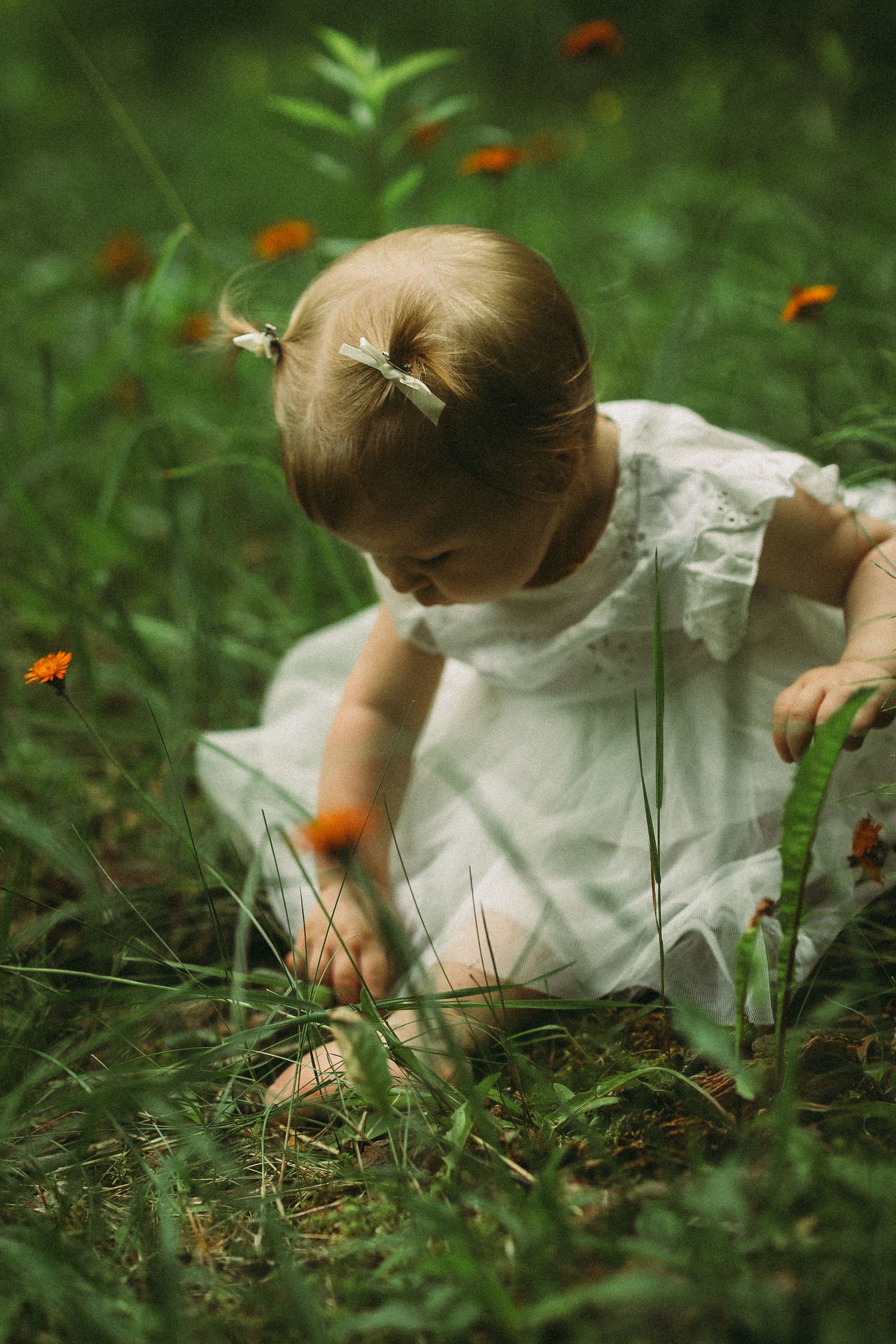 A child in white dress explores and plays in lush green grass with scattered orange wildflowers.