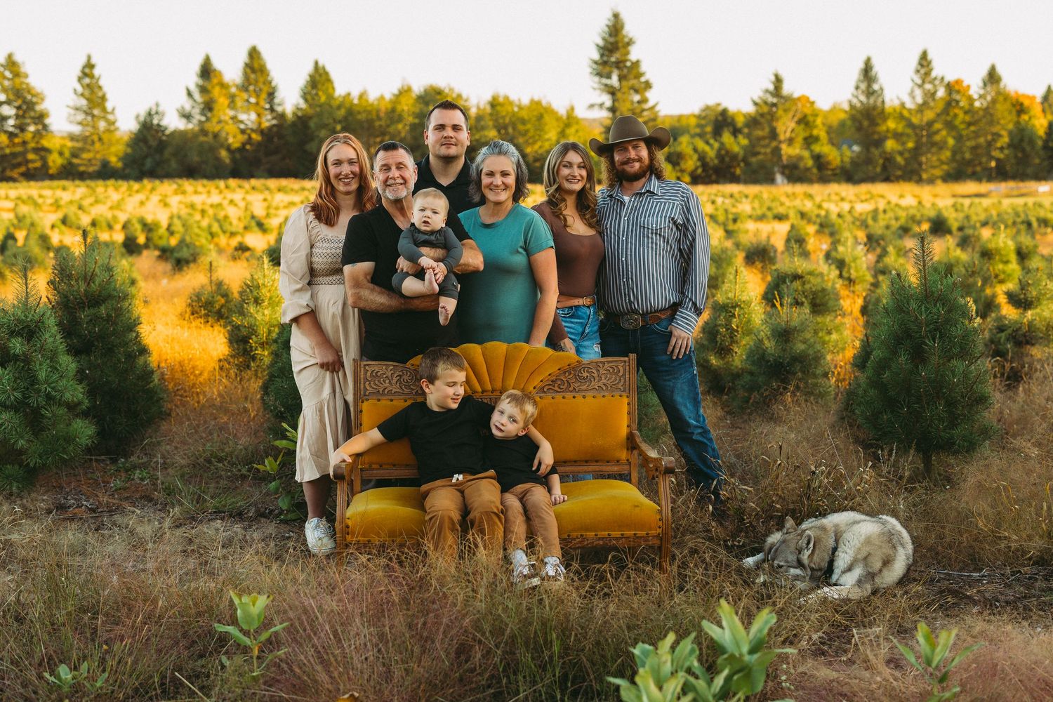 Family portrait on vintage gold sofa in Christmas tree farm at golden hour with dog resting nearby.
