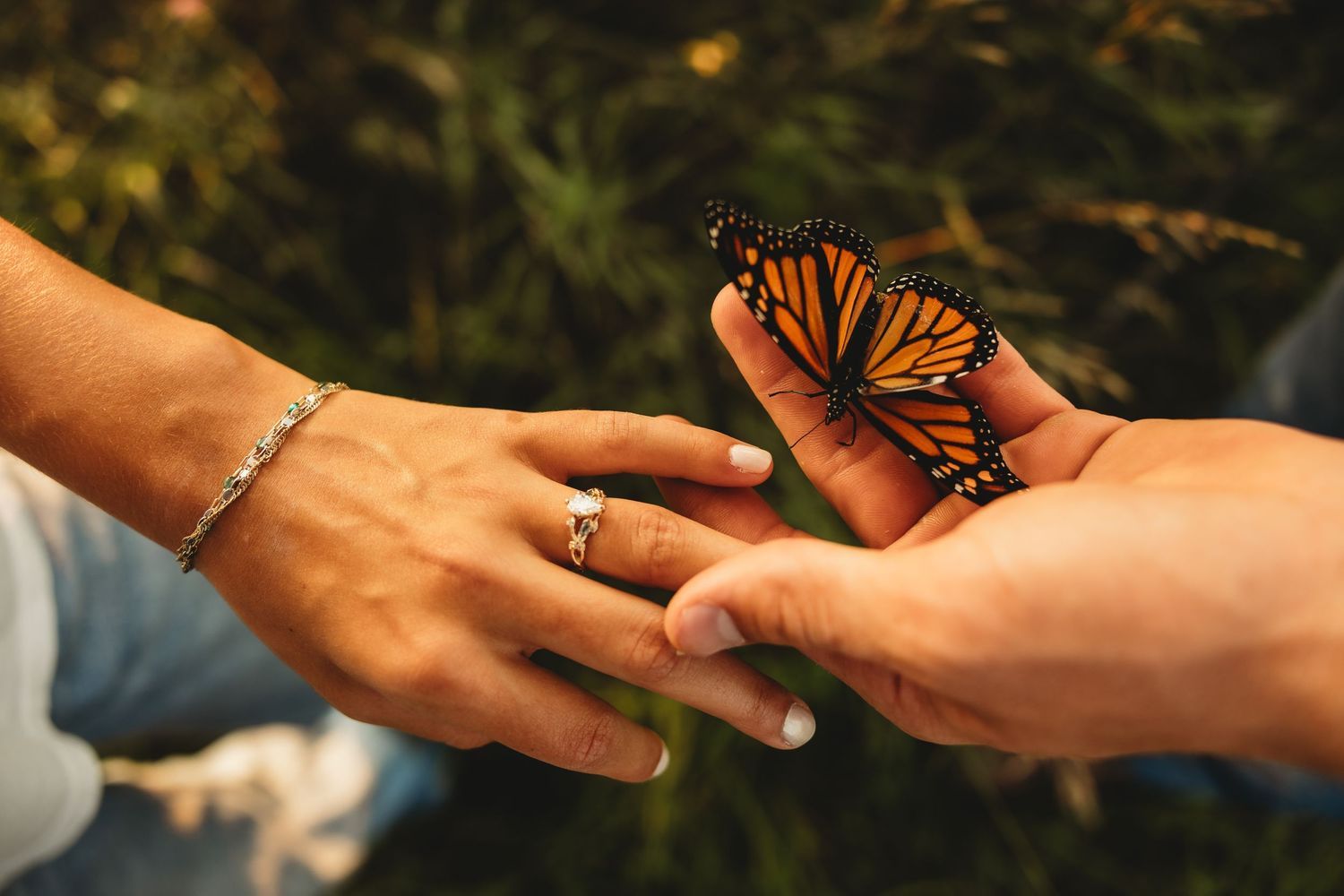 A monarch butterfly perches on a hand as two people gently touch fingers, wearing a silver bracelet and ring.