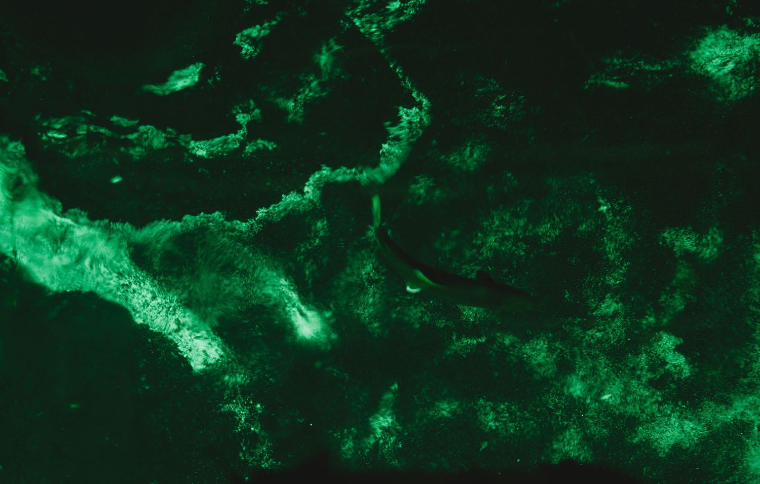 Abstract patterns of bioluminescent algae creating ethereal green glowing streaks in dark water.